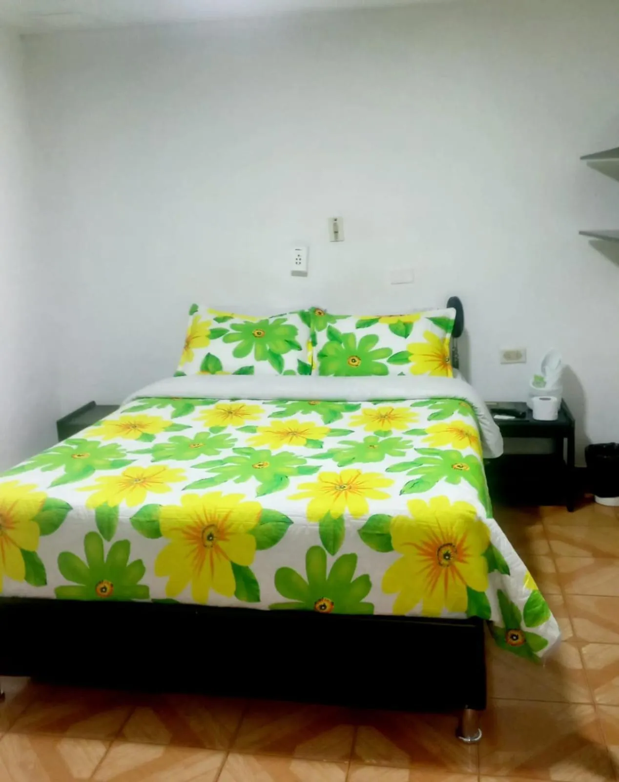 Photo of the whole room, Bed in Hotel Parkway Inn 58 Street