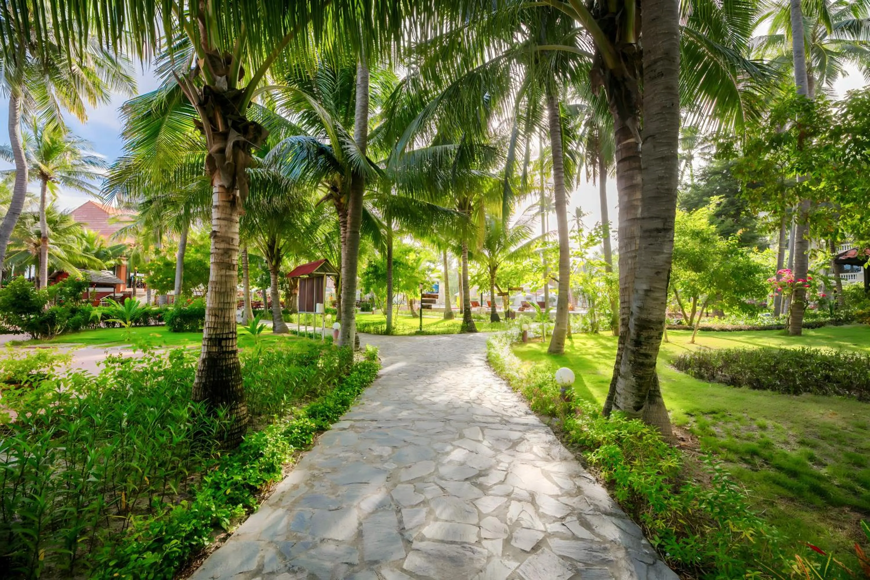 Garden in Sea Lion Beach Resort Mui Ne