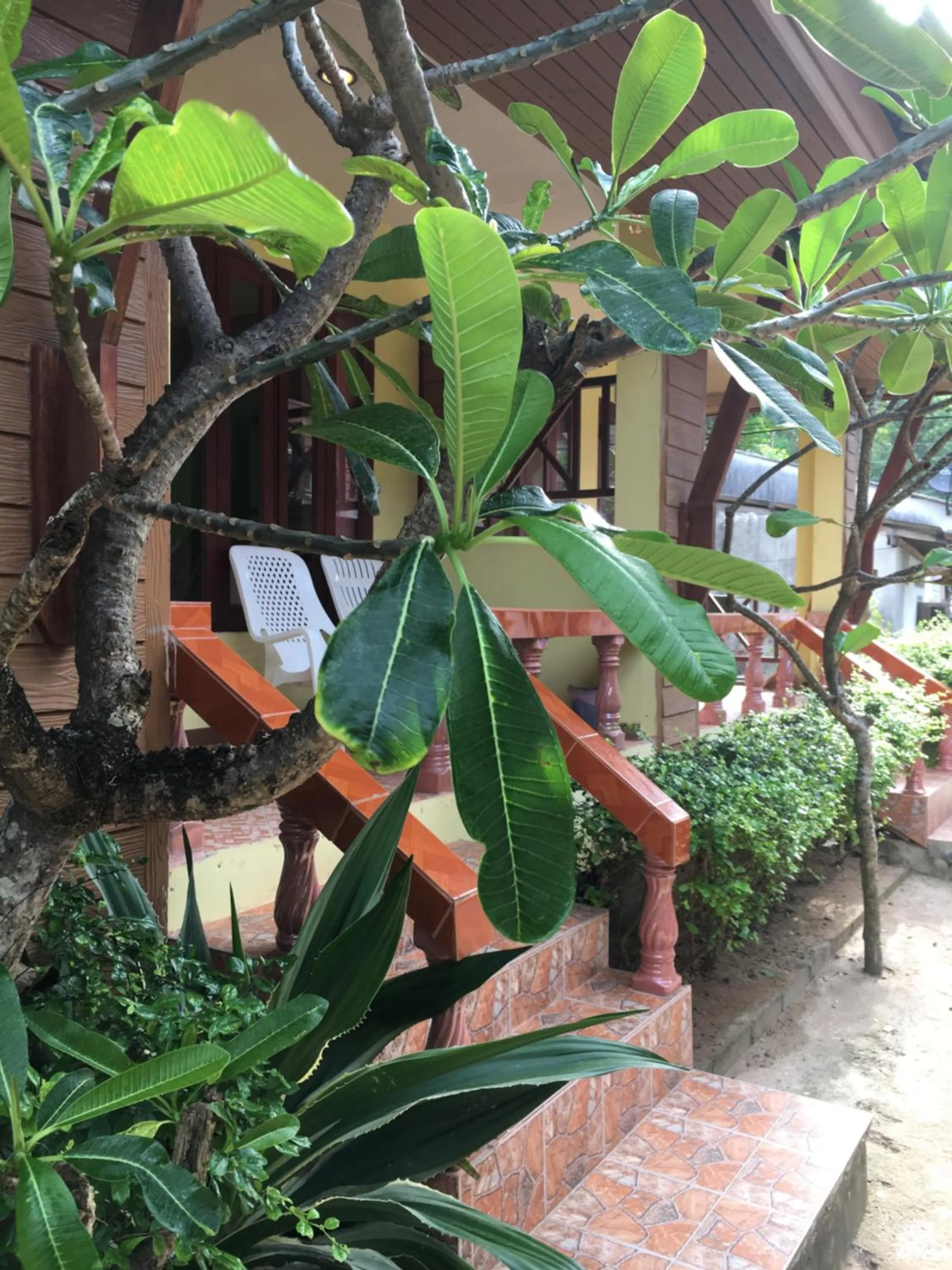 Patio in Lanta Paragon