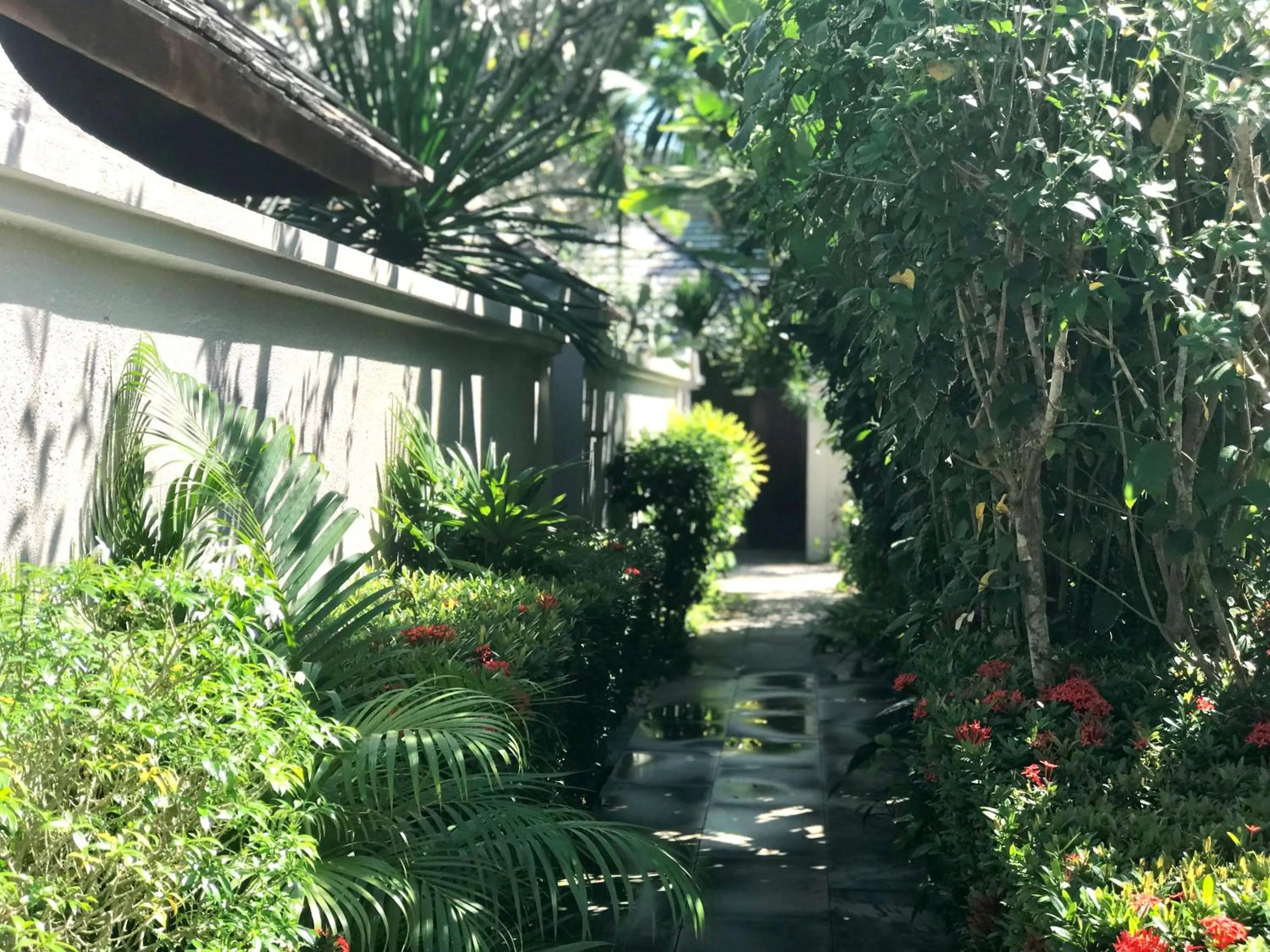Patio in The Sunset Beach Resort & Spa, Taling Ngam, Ko Samui