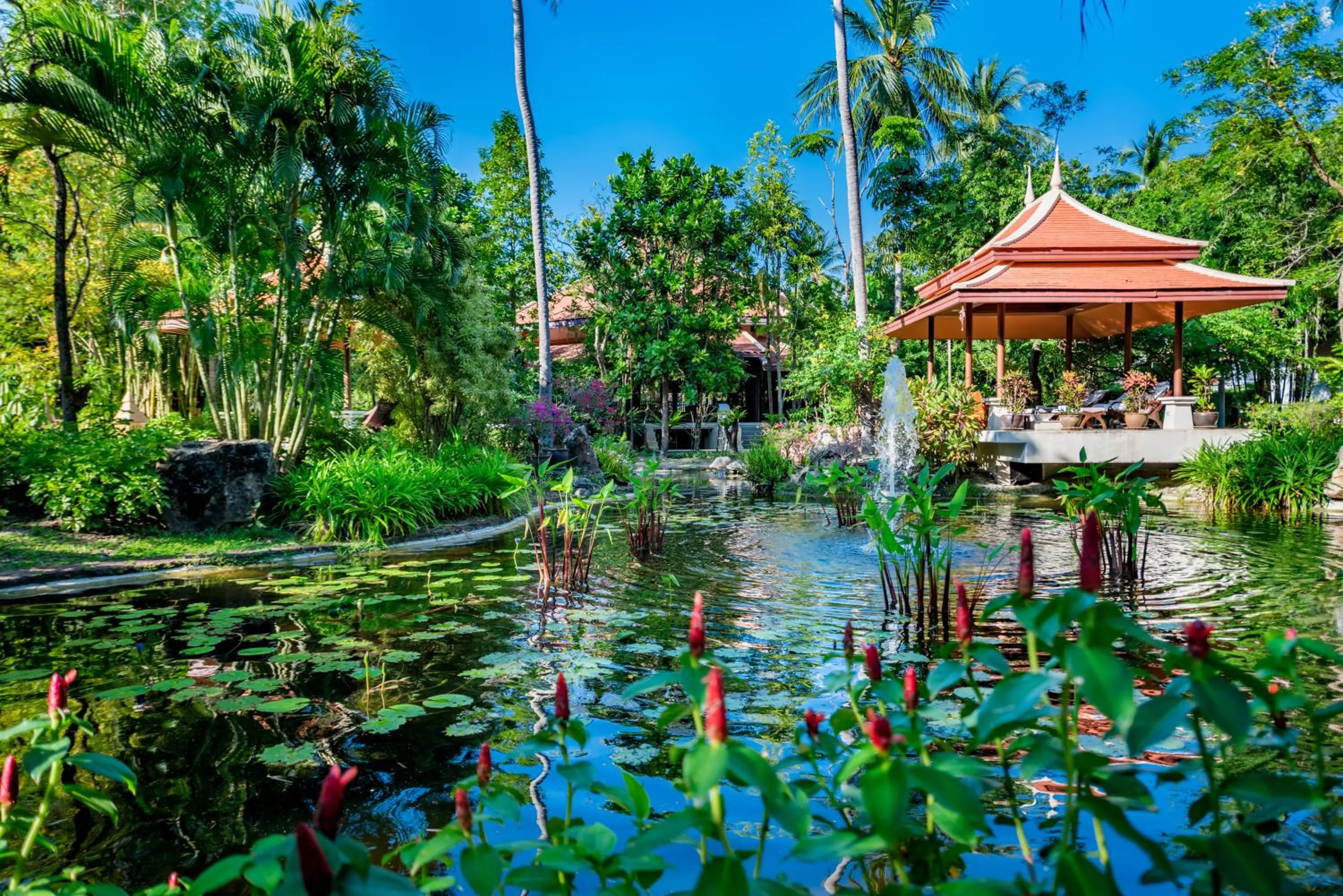 Day in Duangjitt Resort and Spa - SHA Plus