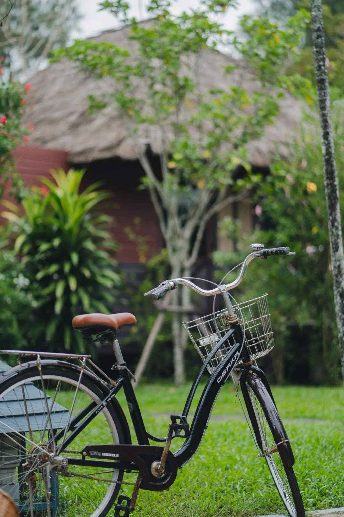 Cycling in Bann Pae Cabana Hotel And Resort