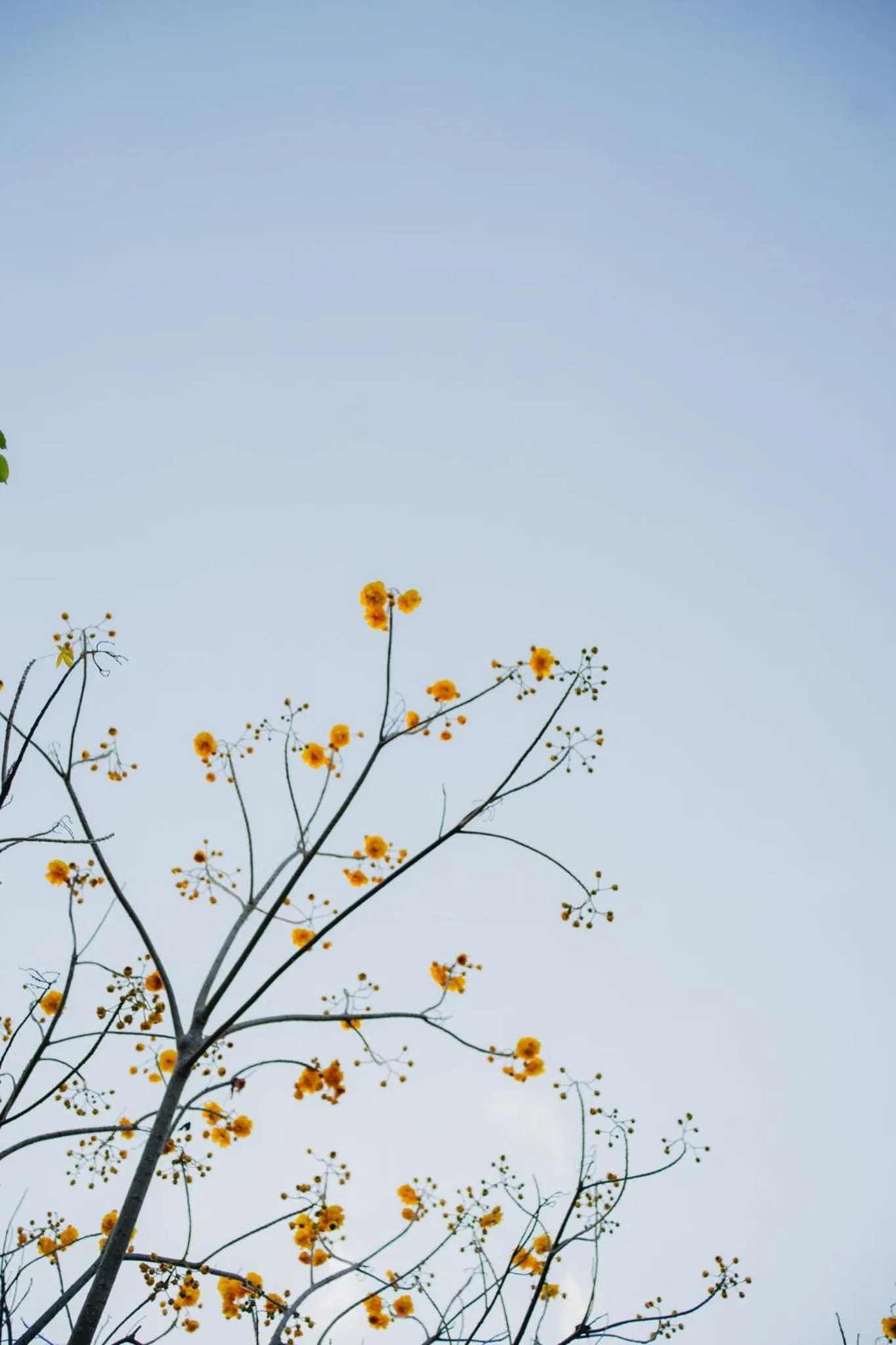 Natural landscape in Bann Pae Cabana Hotel And Resort