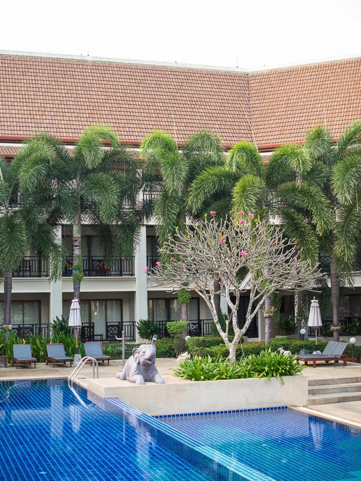 Area and facilities in Deevana Patong Resort & Spa