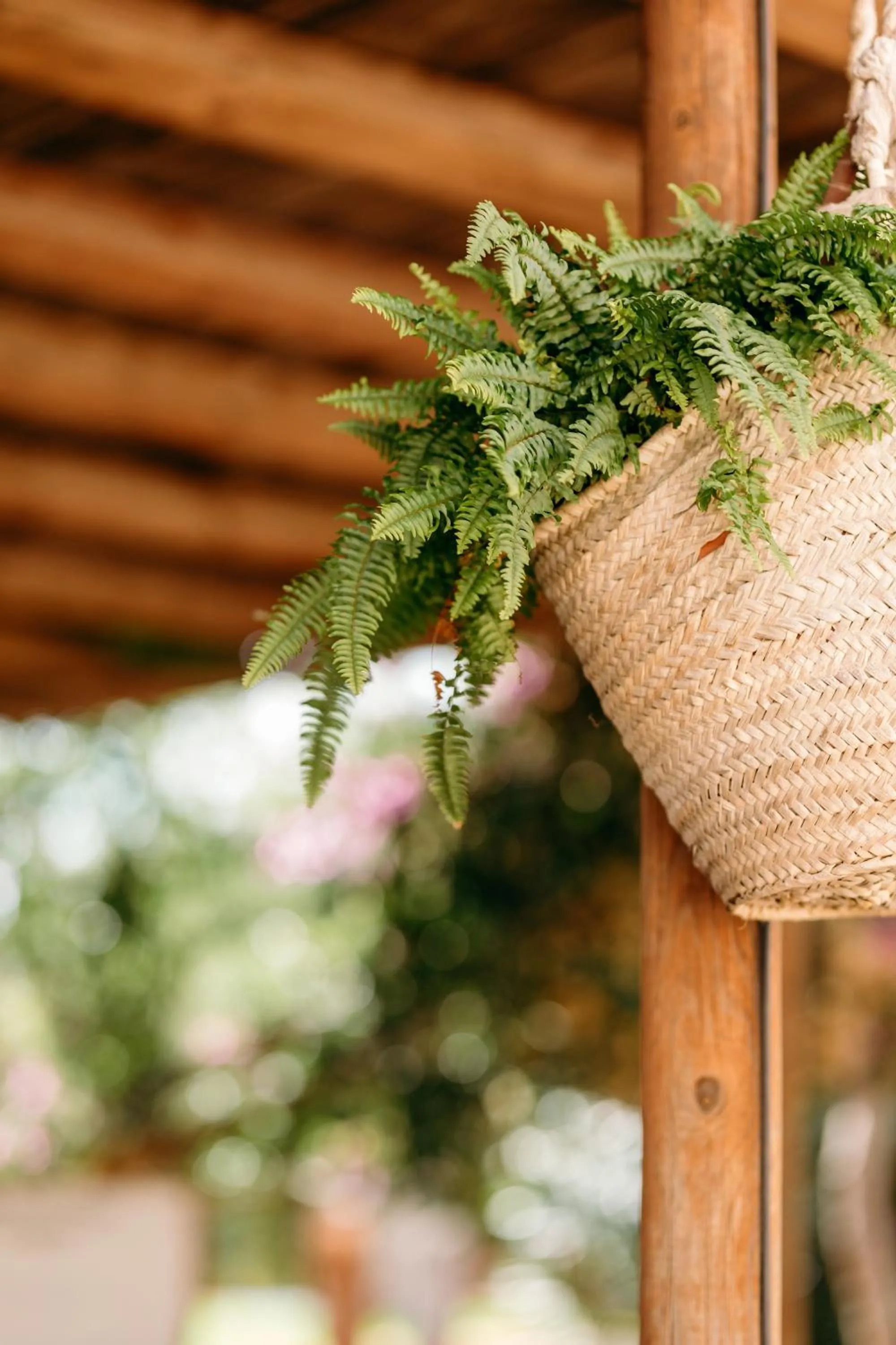 Garden in Agroturismo Can Guillem