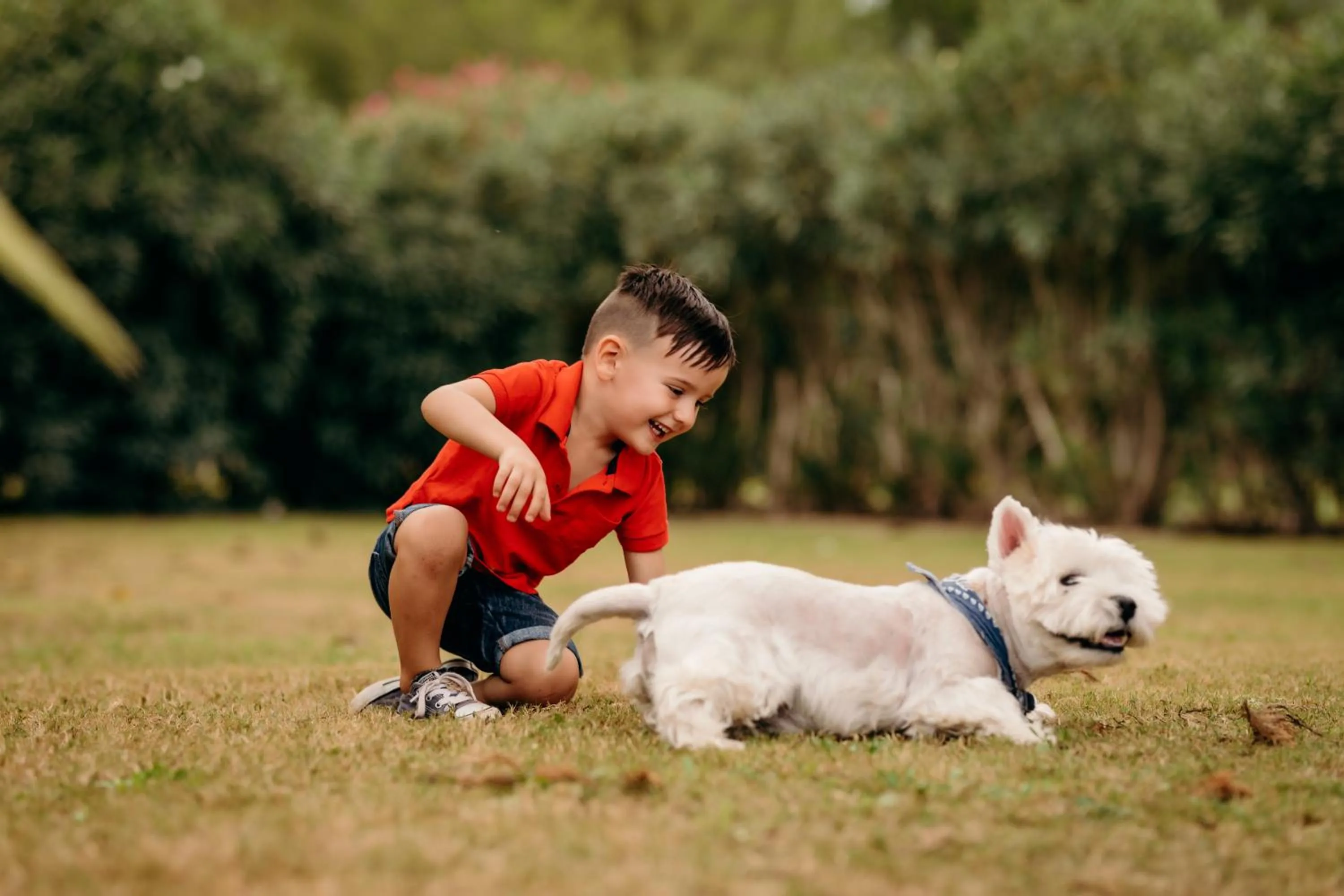 Pets in Agroturismo Can Guillem