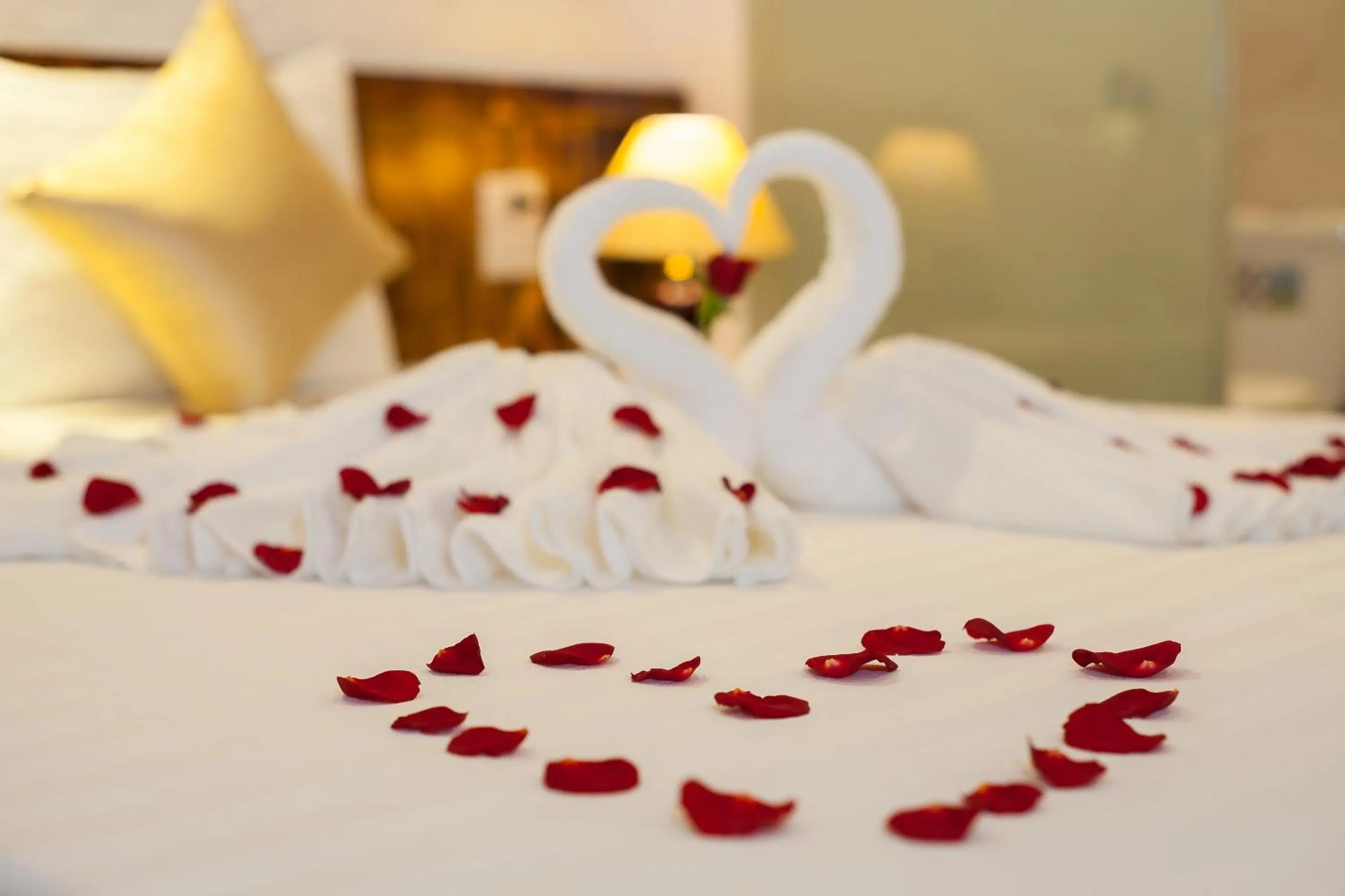 Bed in Luxury Backpakers Hotel