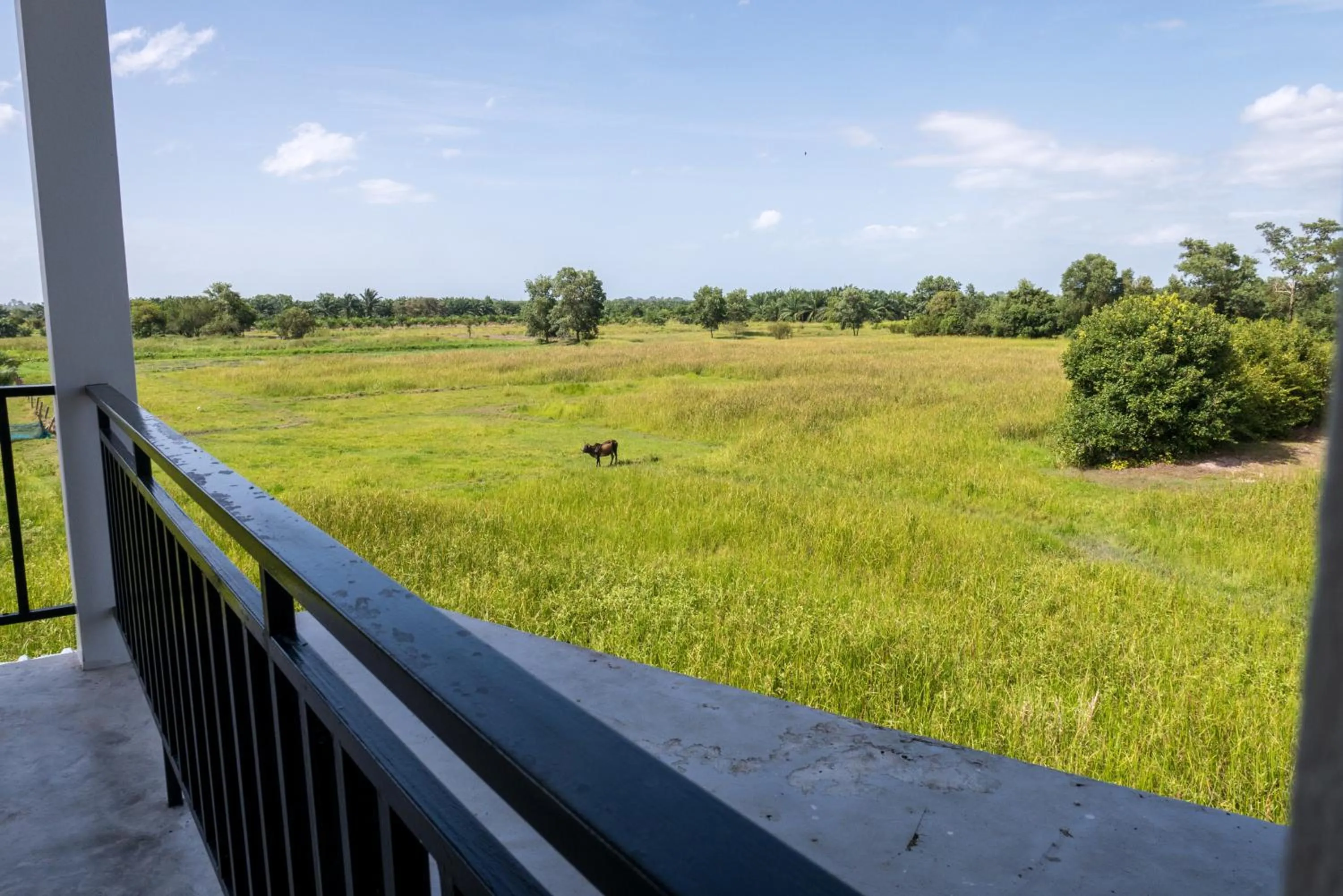 Natural landscape in B3 Hotel