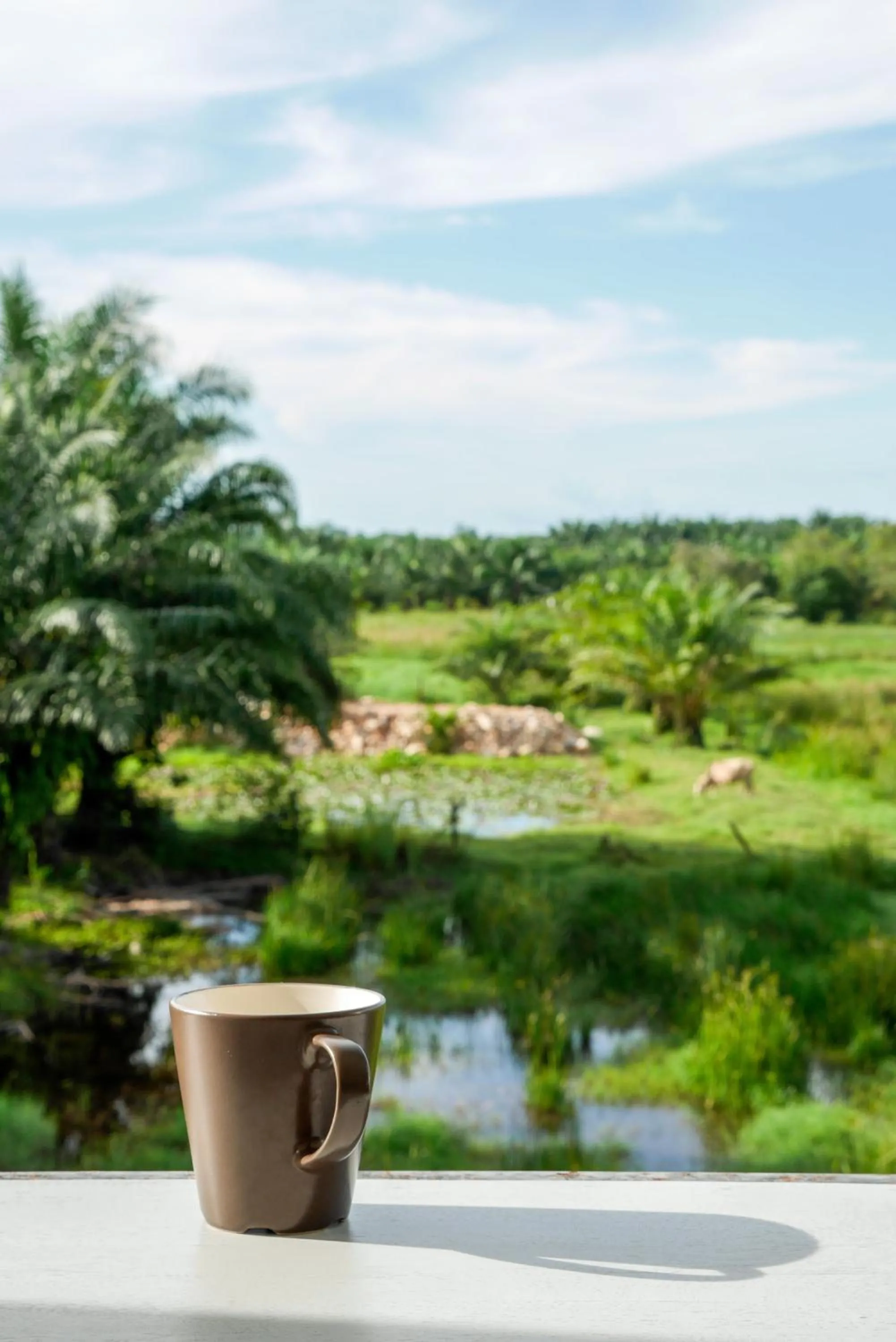 View (from property/room) in B3 Hotel