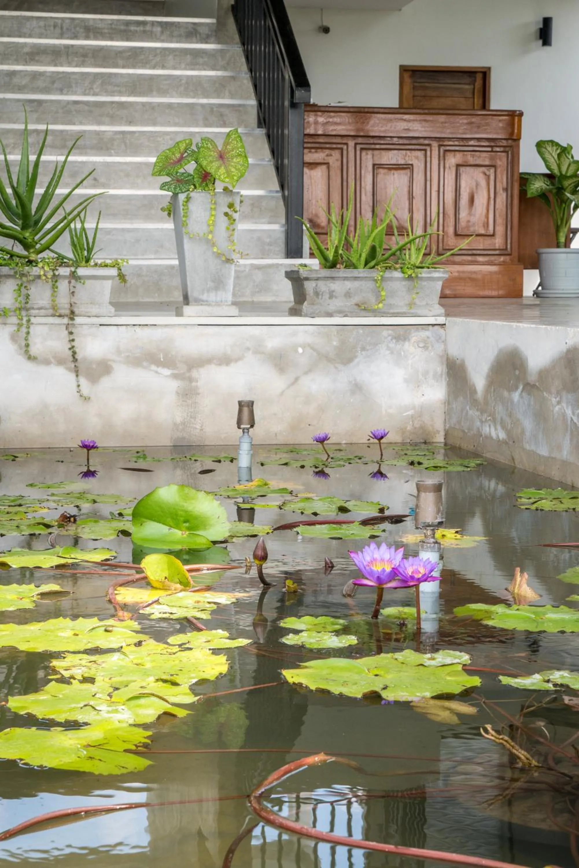 Lobby or reception in B3 Hotel
