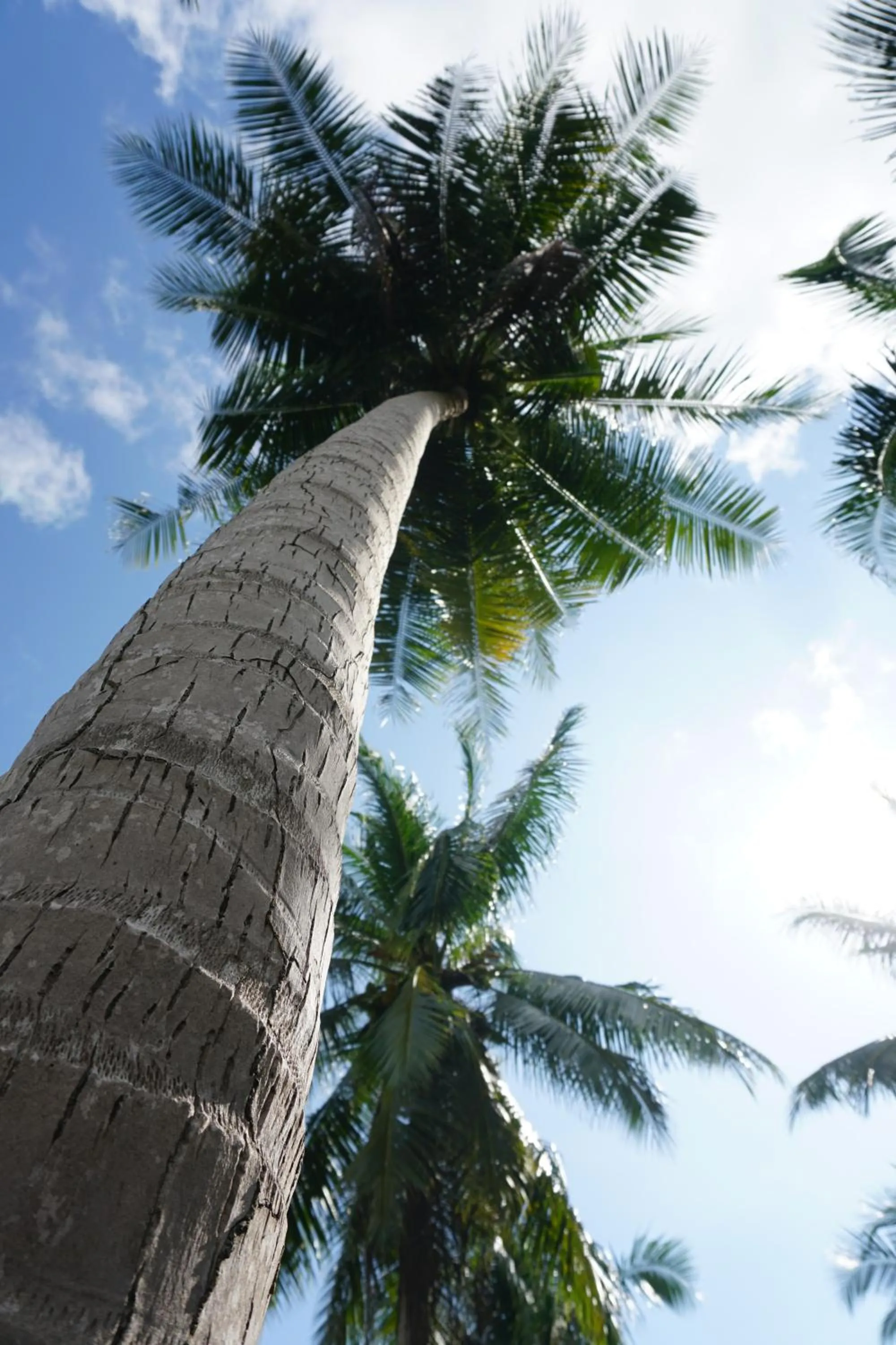 View (from property/room) in Koh Kood BED's