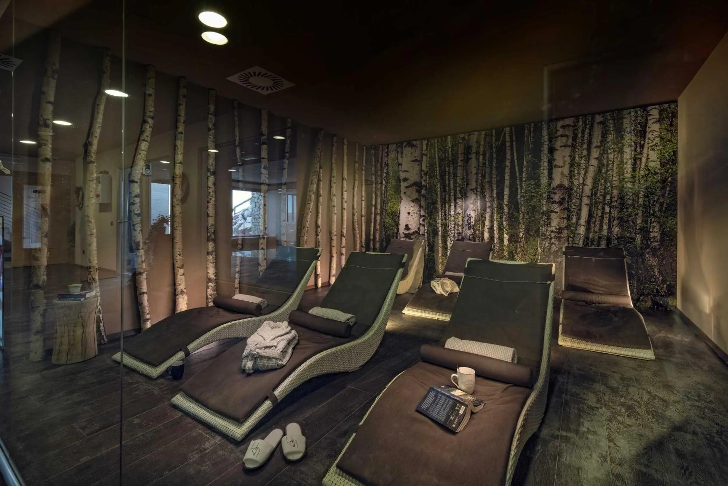 Spa and wellness centre/facilities in Brenta Dolomites