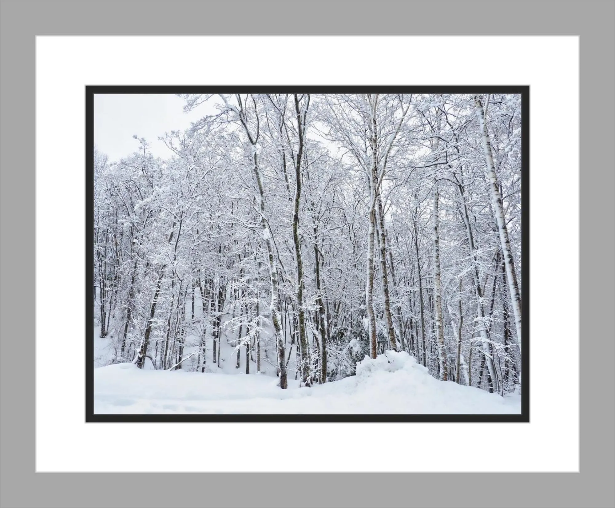 Winter in Jadan House