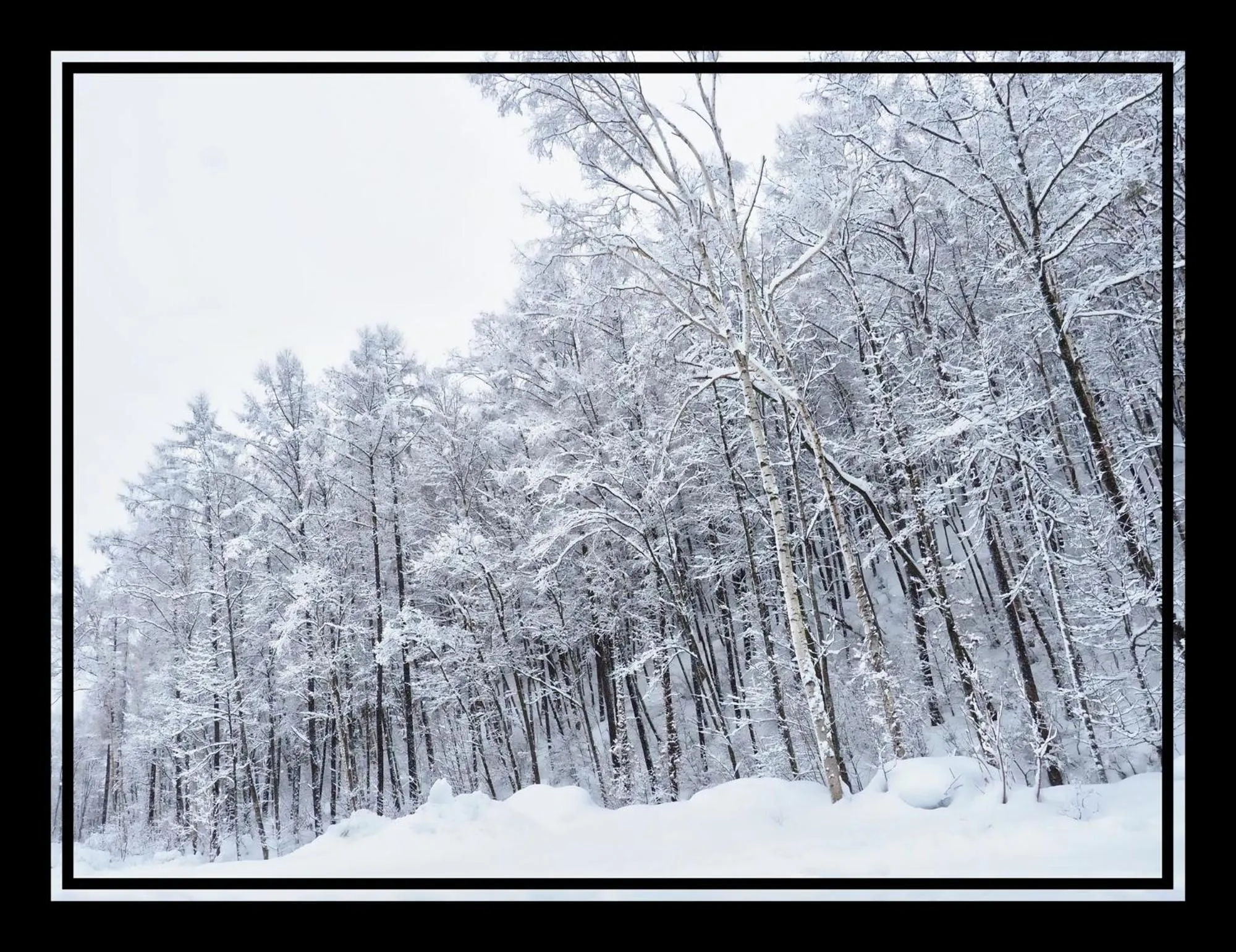 Winter in Jadan House