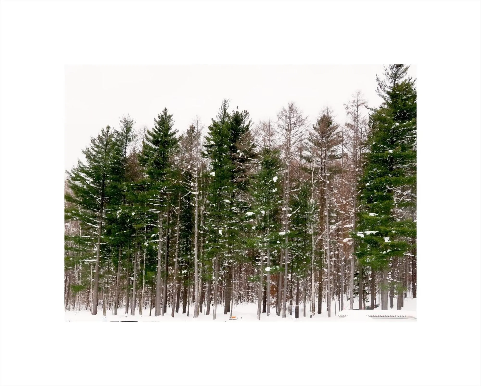 Winter in Jadan House