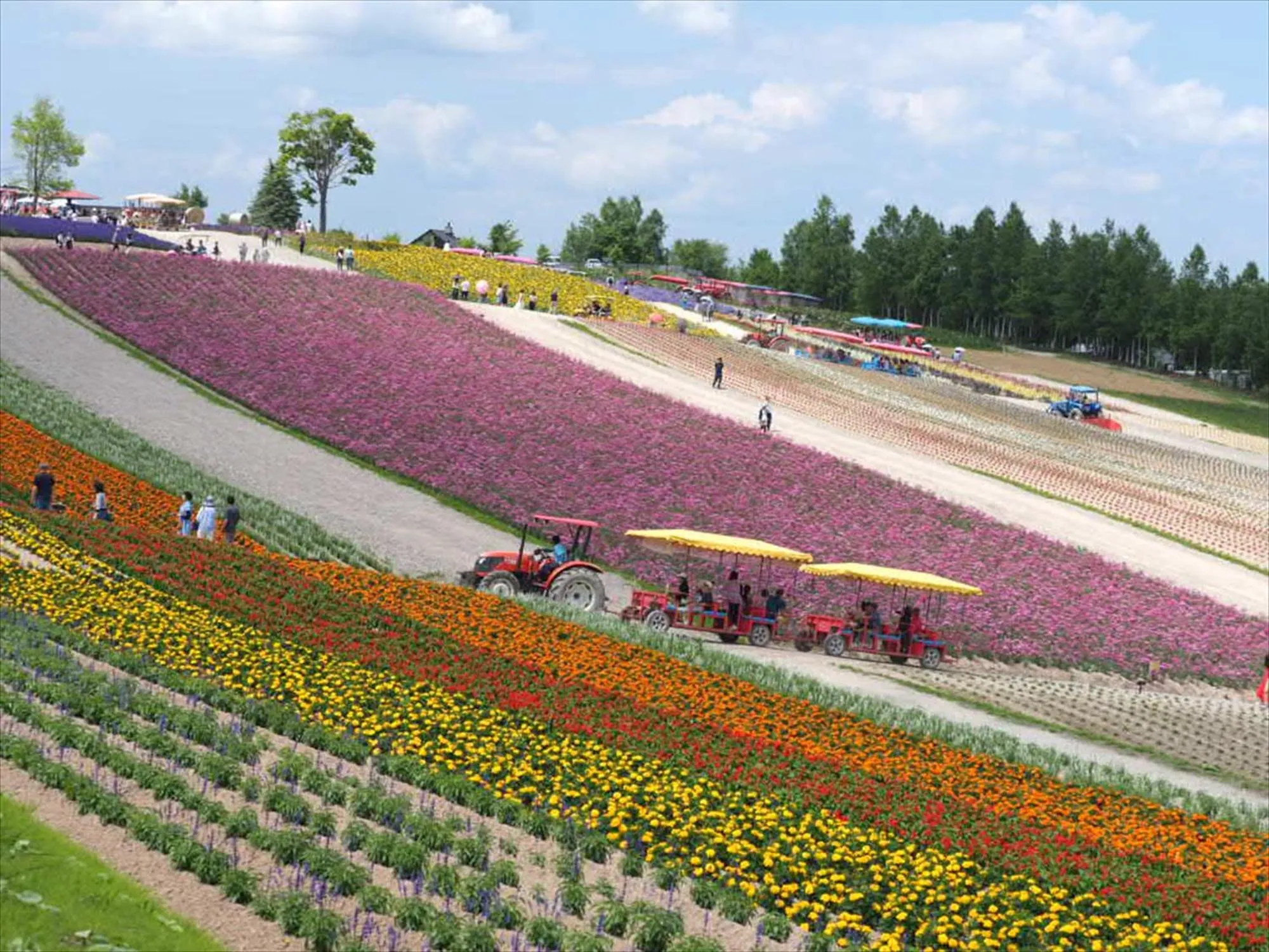 Natural landscape in Jadan House