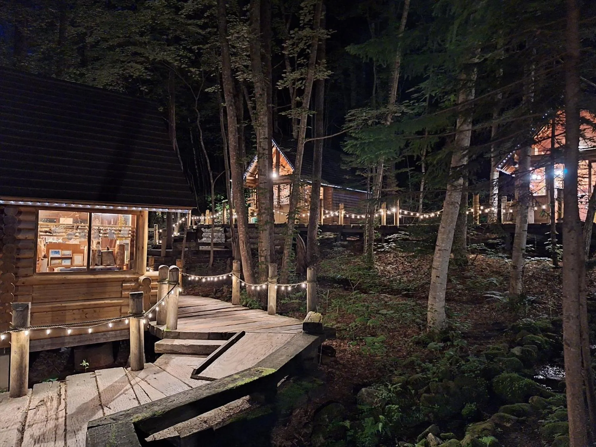 Natural landscape in Jadan House