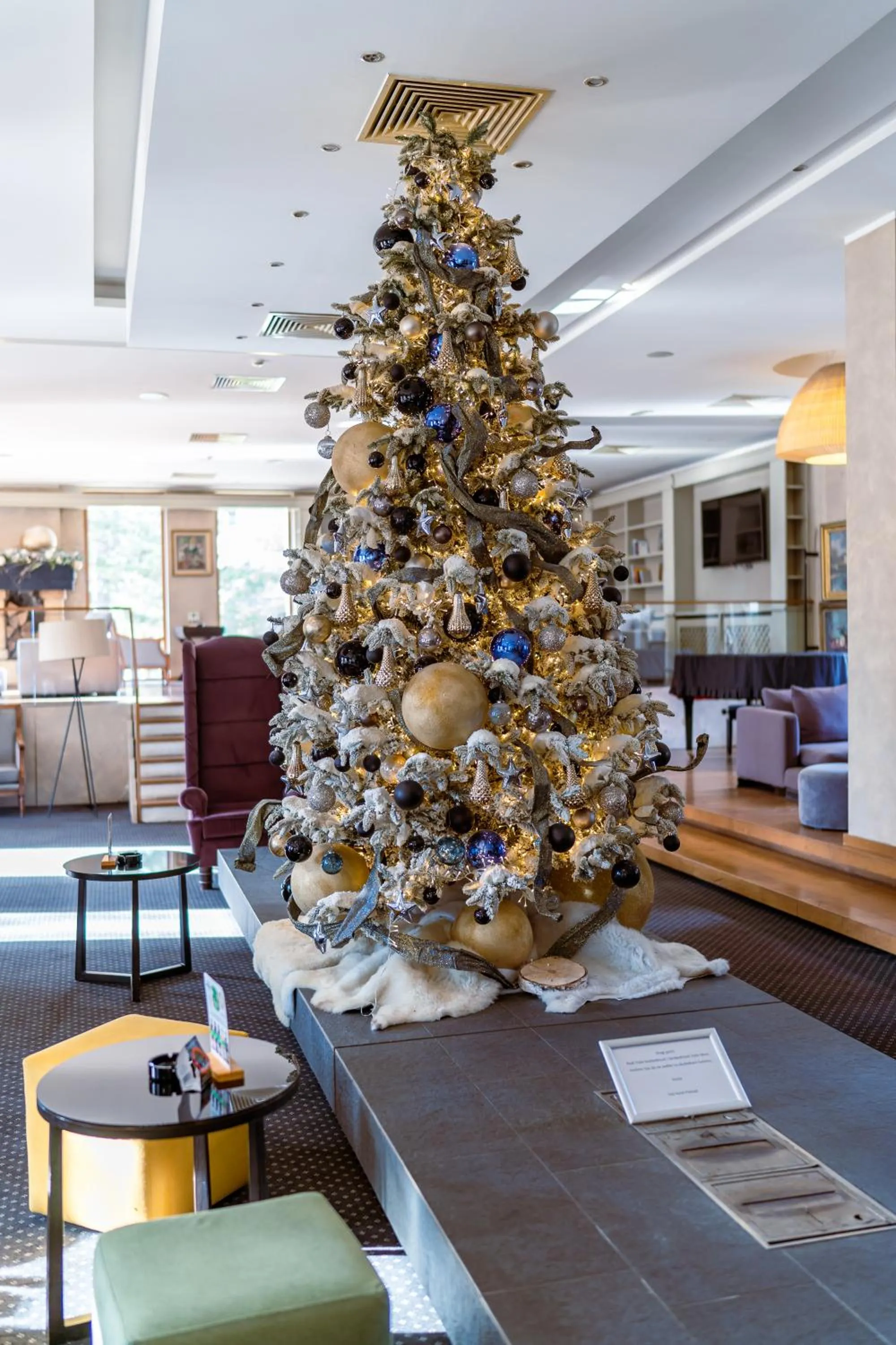 Lobby or reception in Hotel Palisad