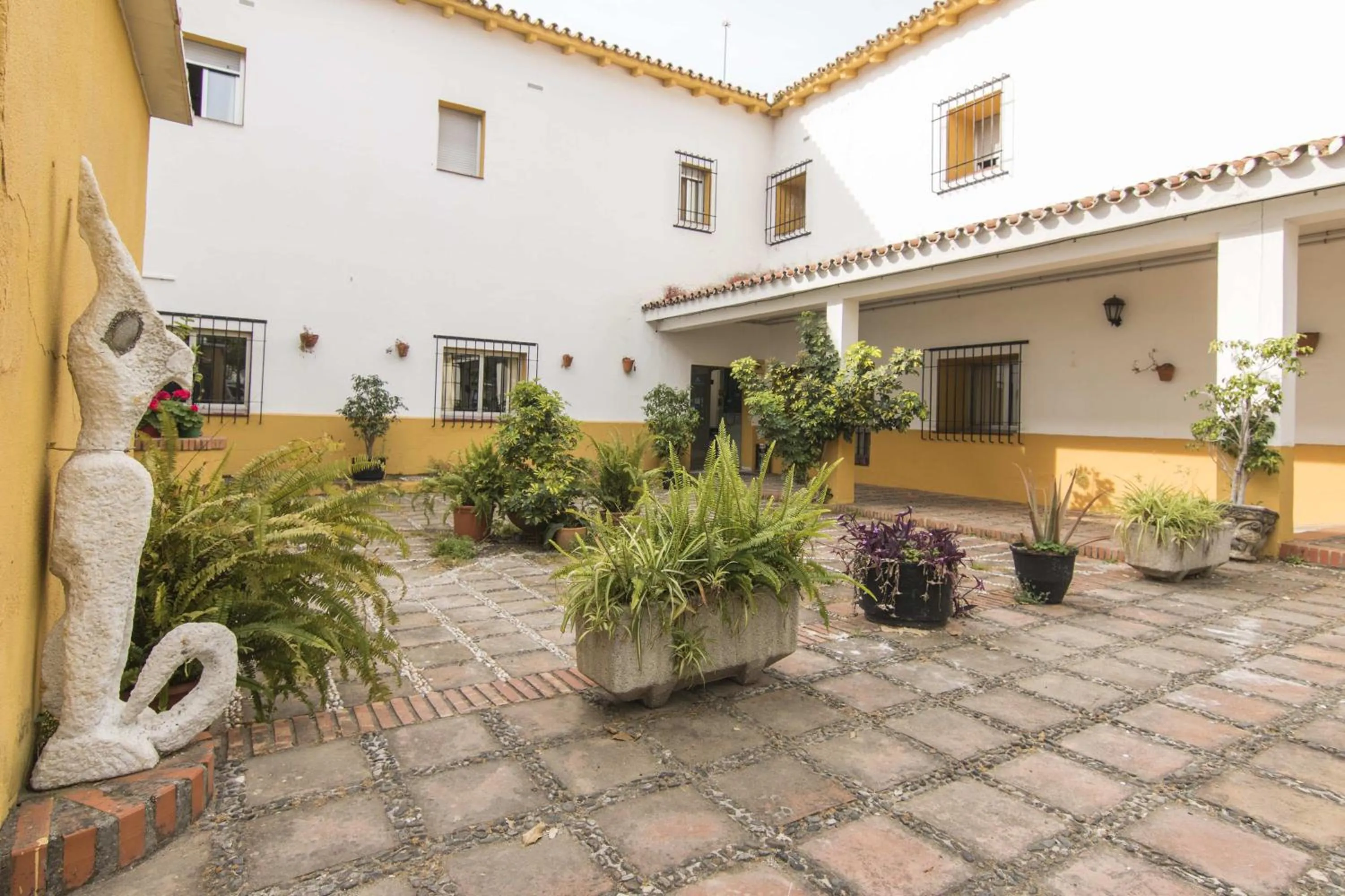 Patio in Albergue Inturjoven Marbella