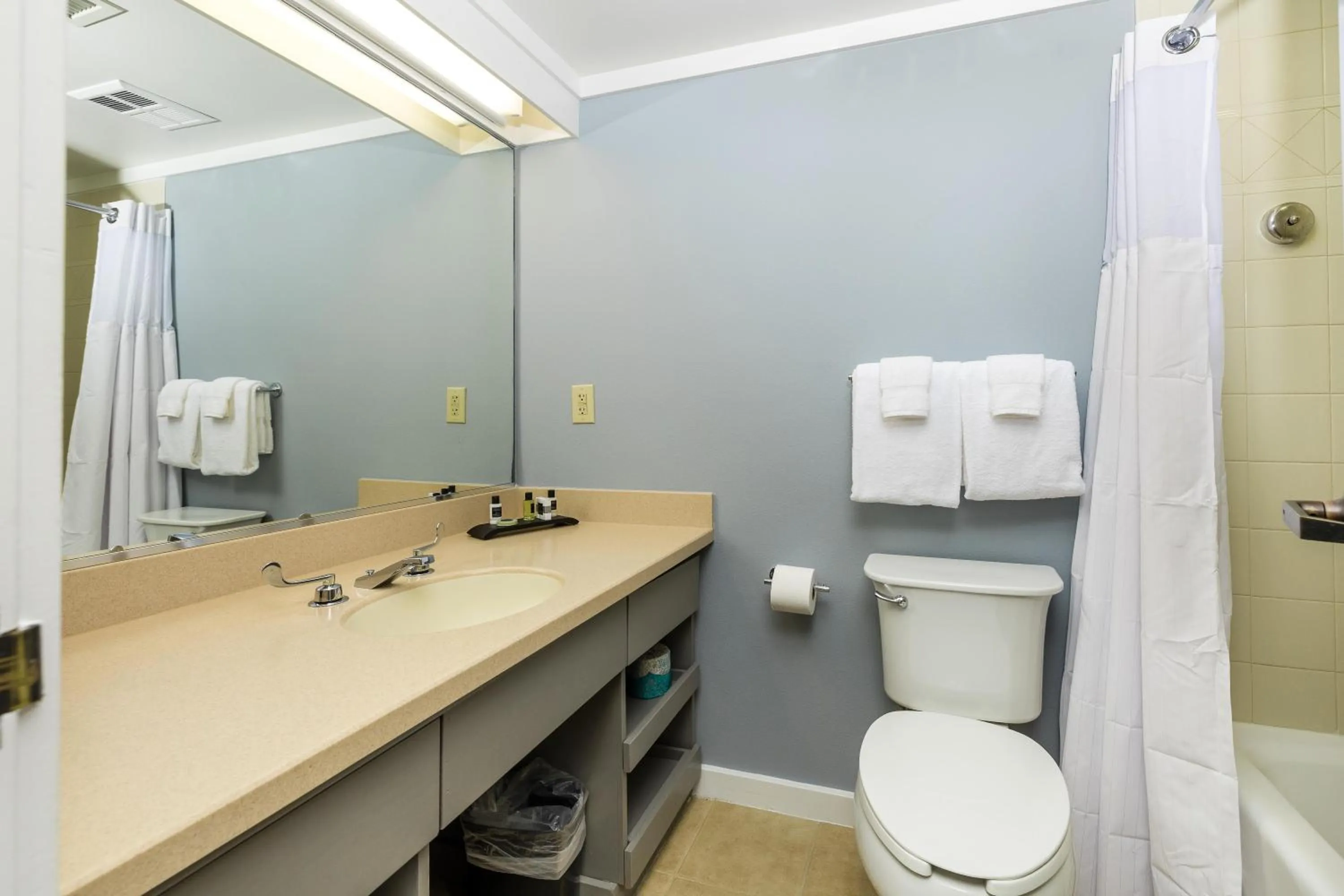 Bathroom in Waynesville Inn and Golf Club, Tapestry Collection by Hilton
