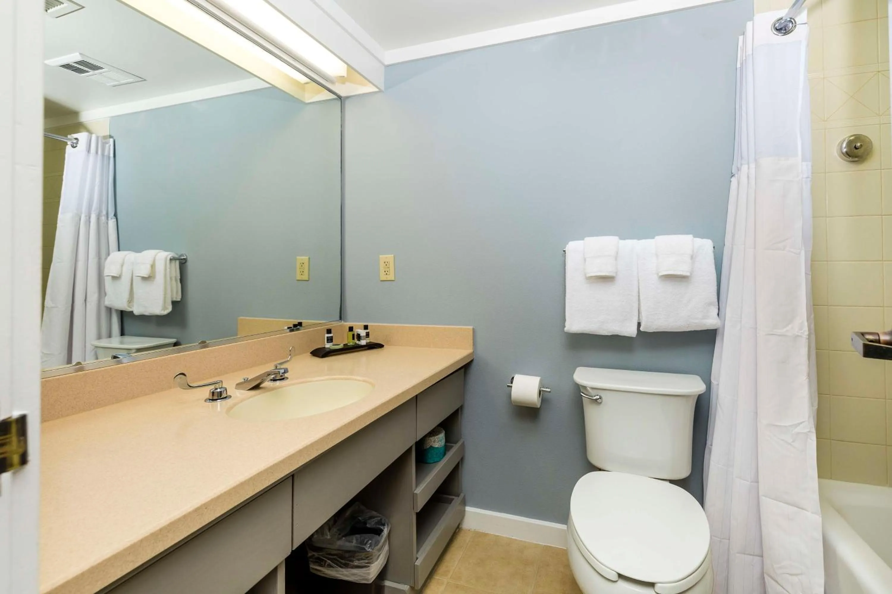 Bathroom in Waynesville Inn and Golf Club, Tapestry Collection by Hilton