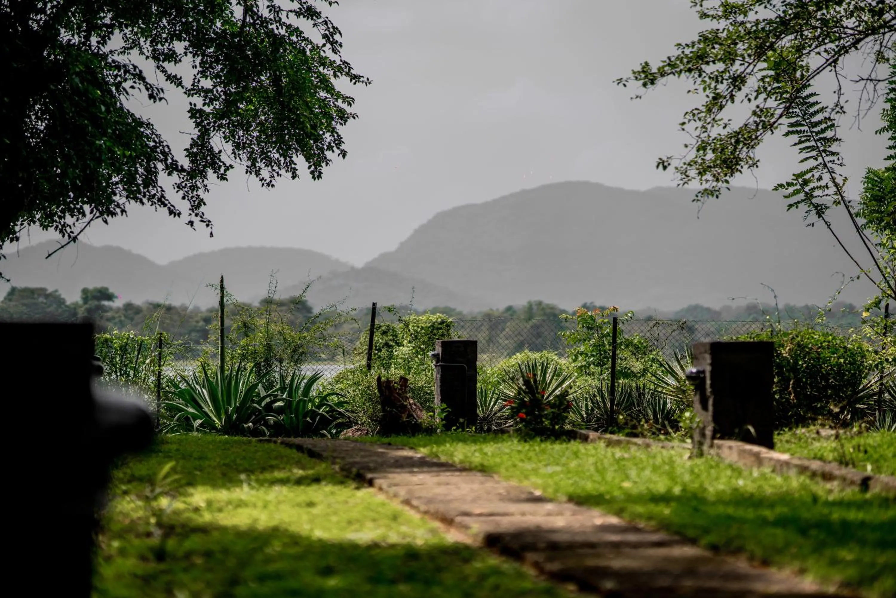 Natural landscape in Lavendish Wild Safari