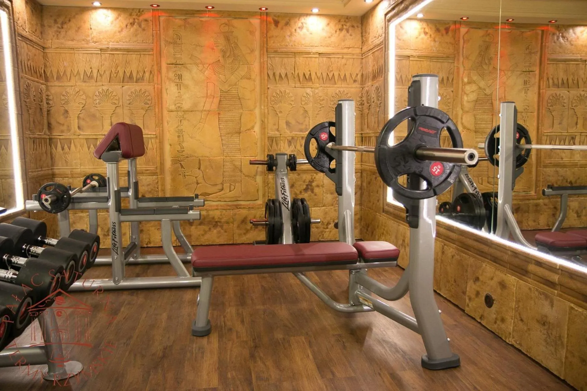 Fitness centre/facilities in Pałac Saturna