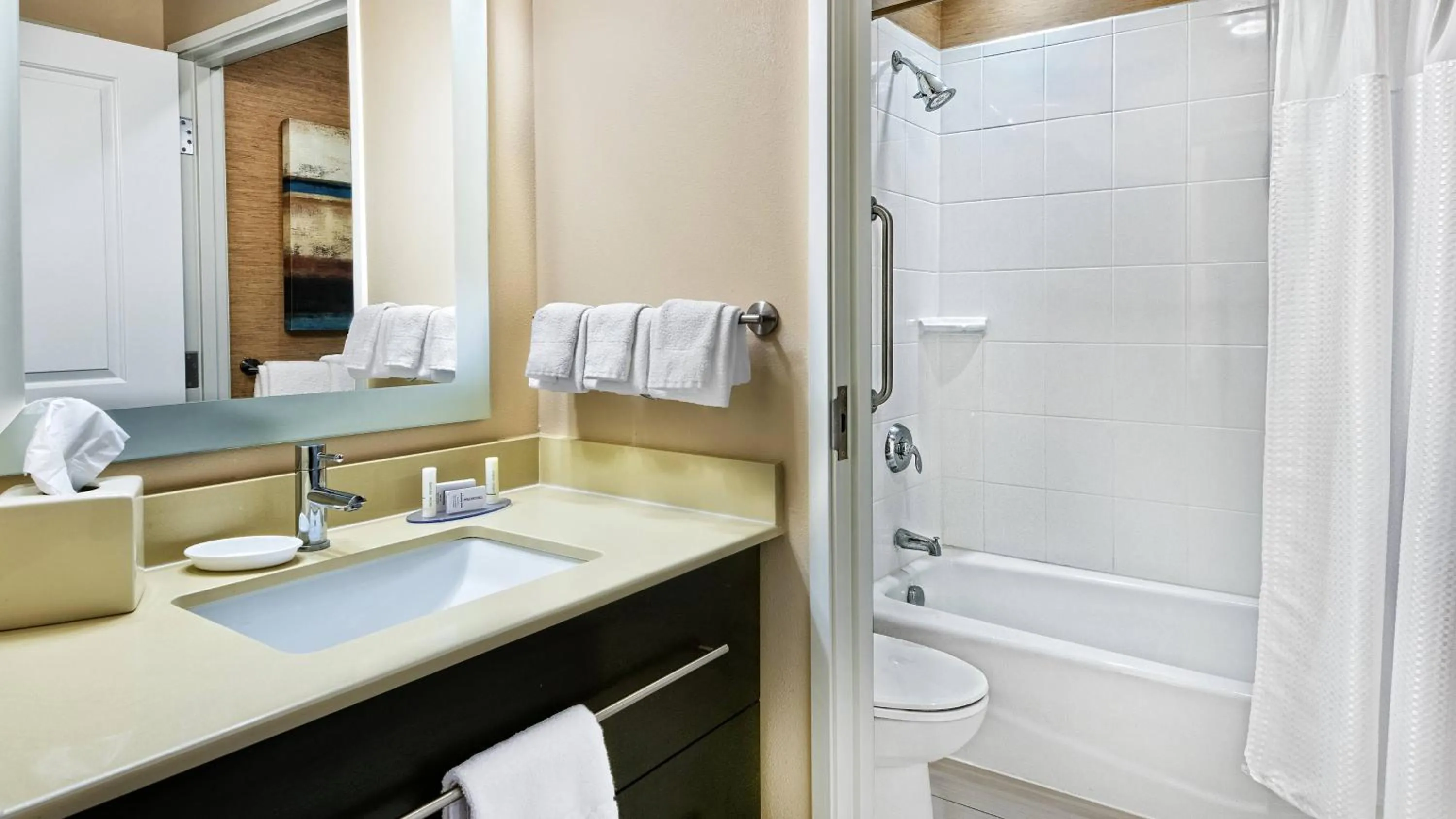 Bathroom in TownePlace Suites by Marriott San Antonio Downtown Riverwalk
