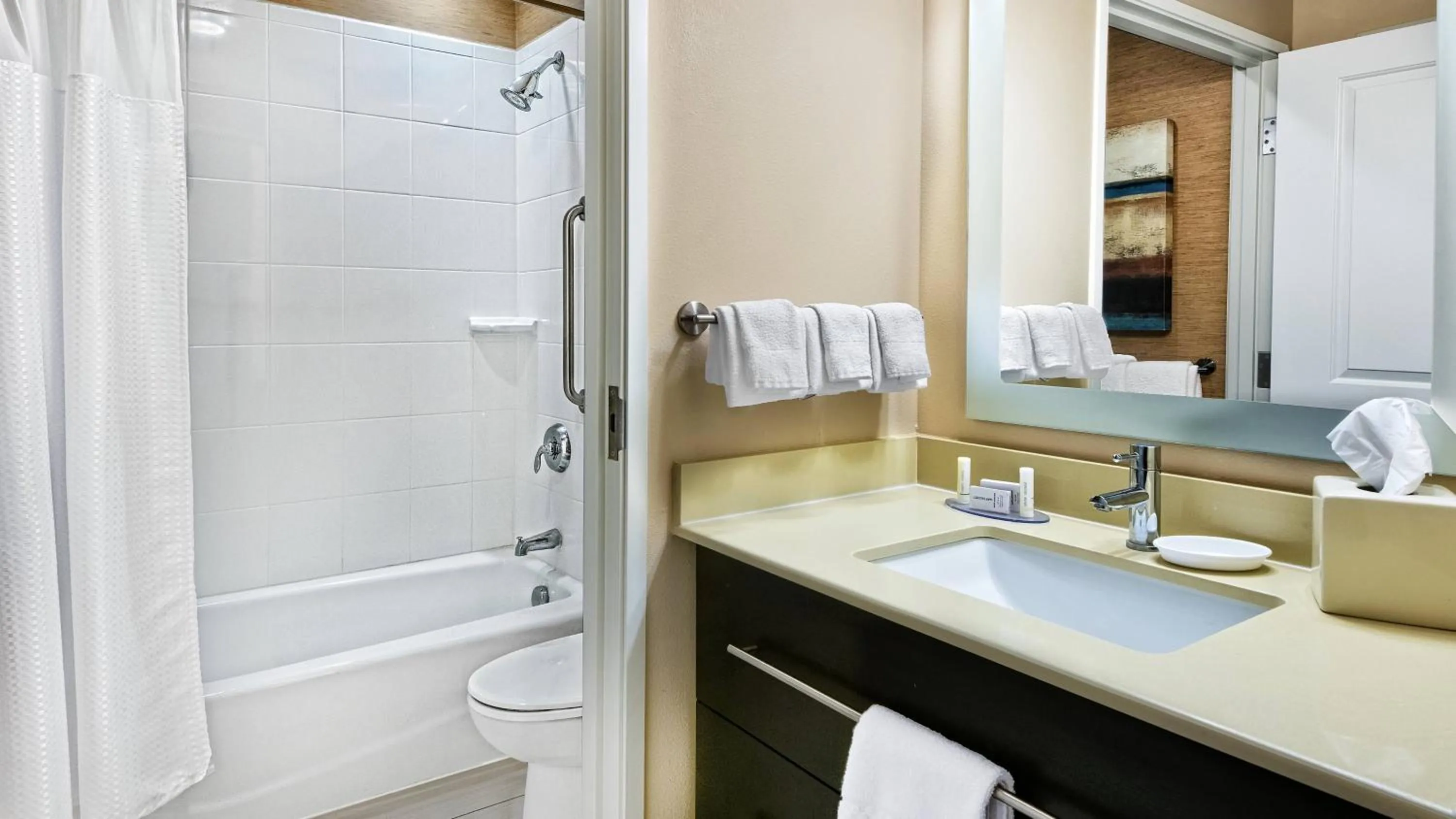 Bathroom in TownePlace Suites by Marriott San Antonio Downtown Riverwalk