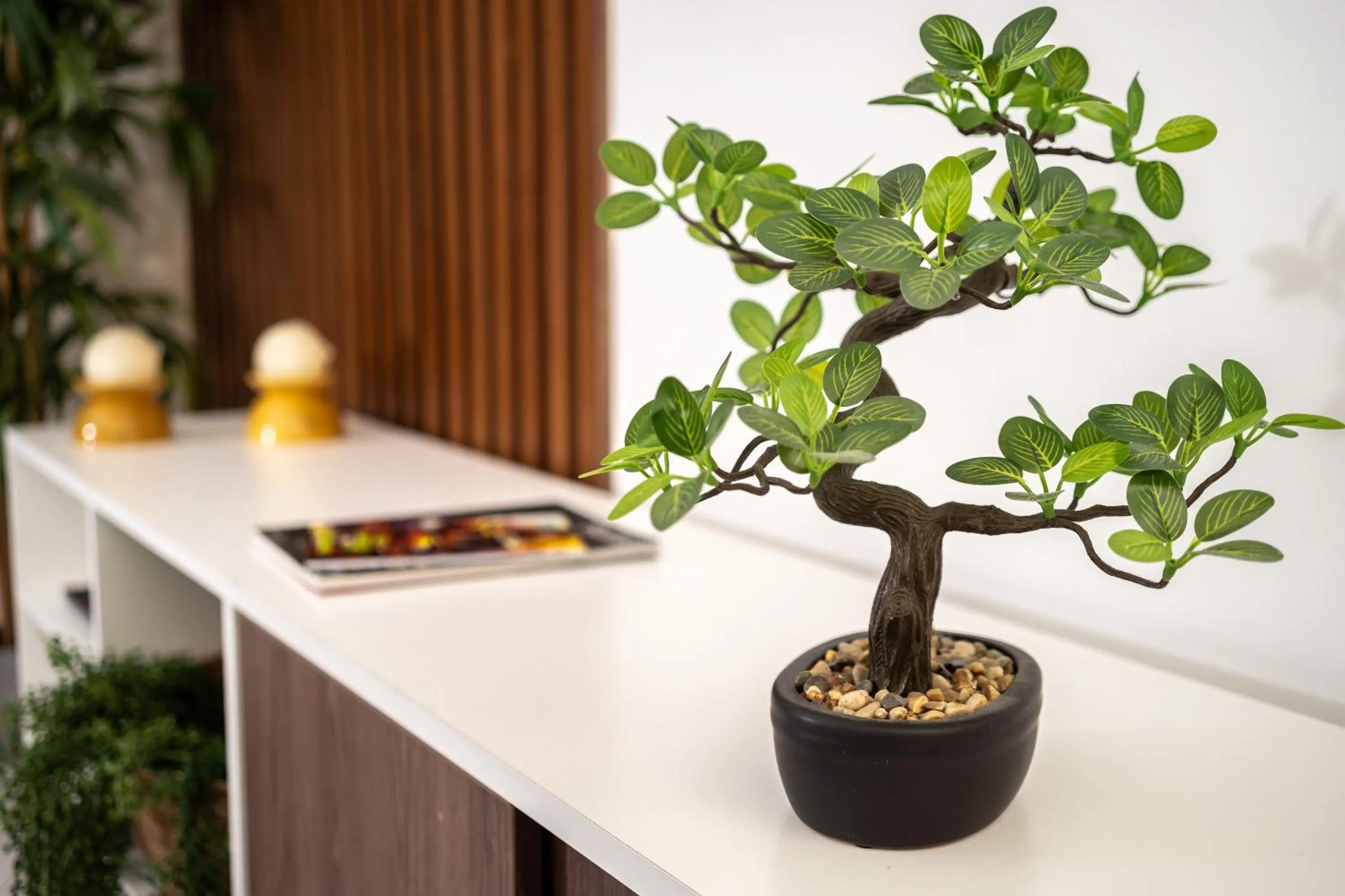 Decorative detail in Hotel Corregidor by Cassana