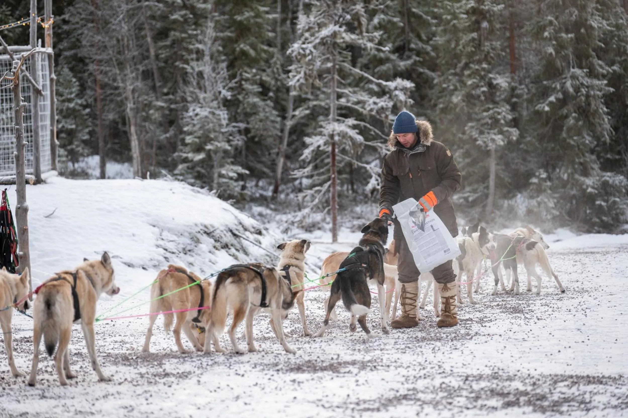 Activities in Nova Skyland Hotel