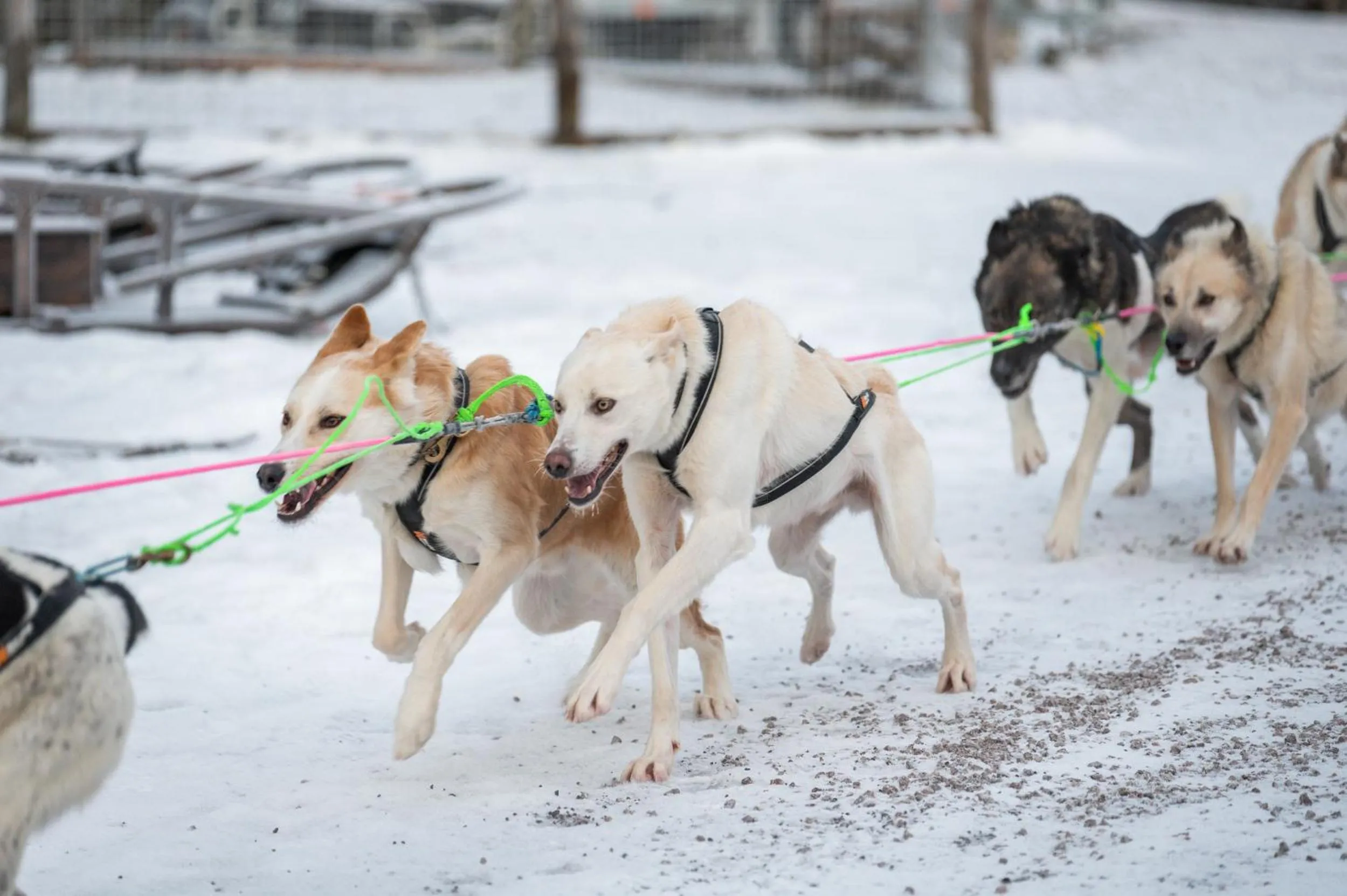 Activities in Nova Skyland Hotel