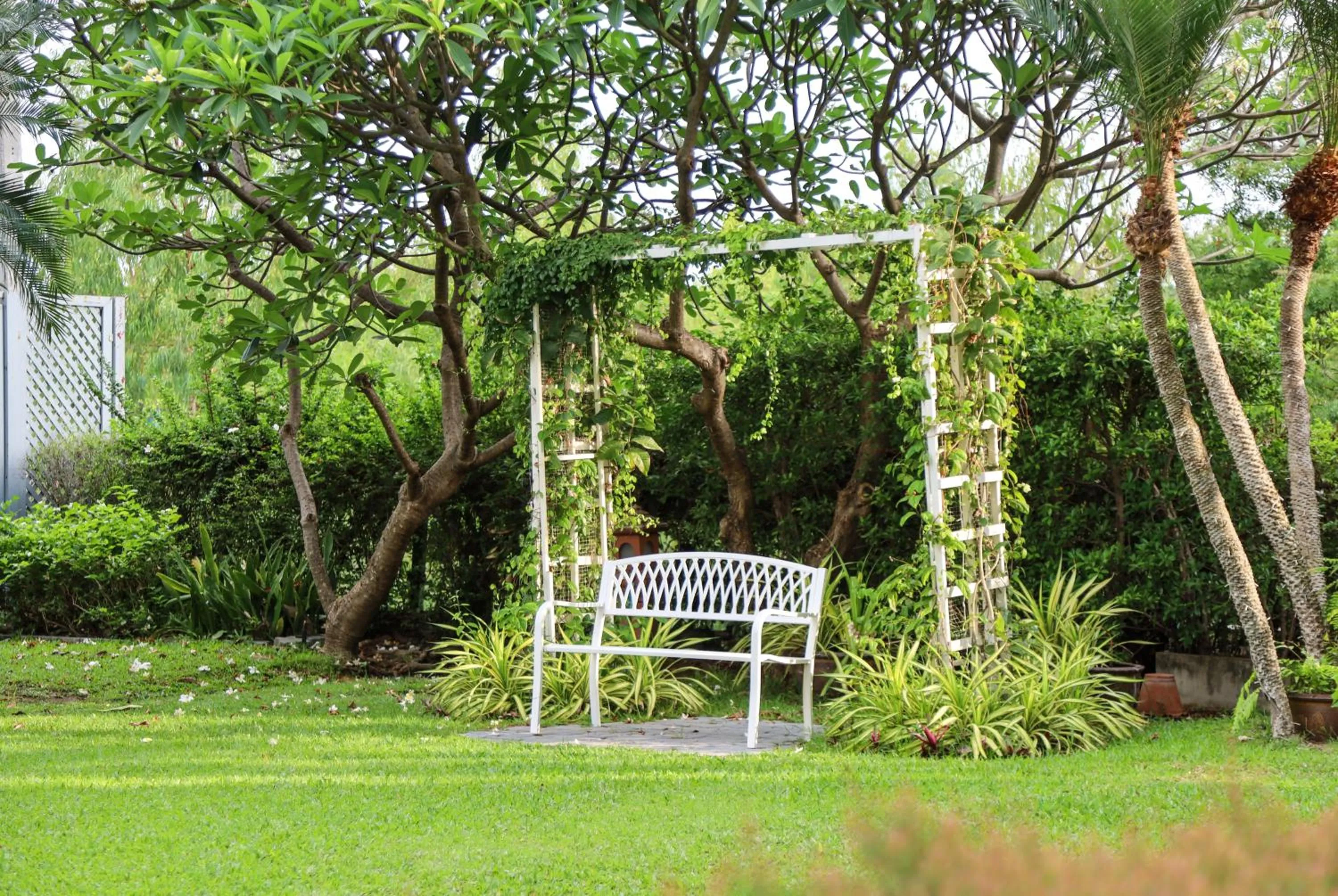 Garden view in The Bayview Hotel Pattaya