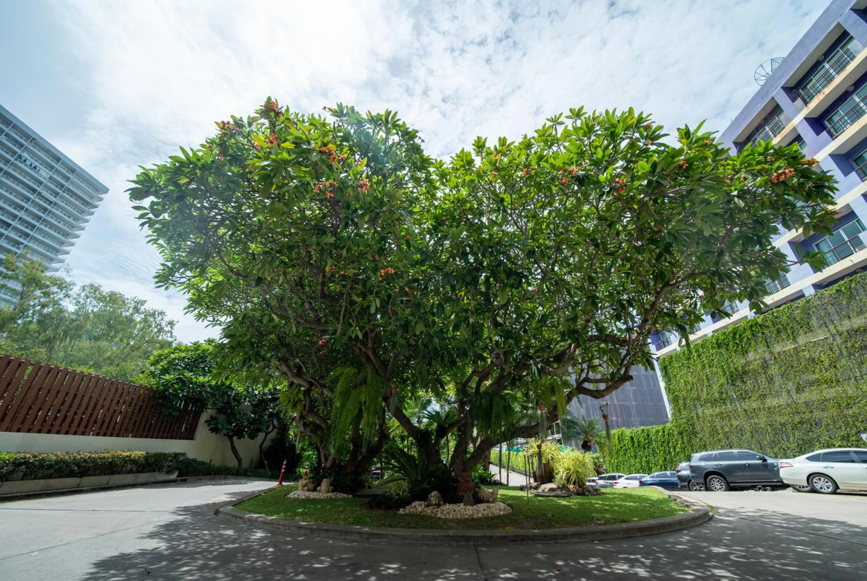 Area and facilities in The Bayview Hotel Pattaya