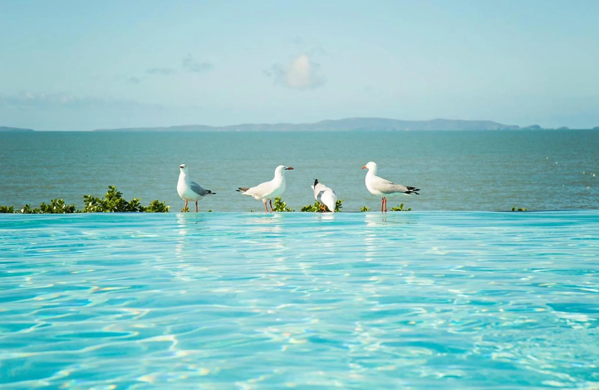 Day in Villa Mar Colina