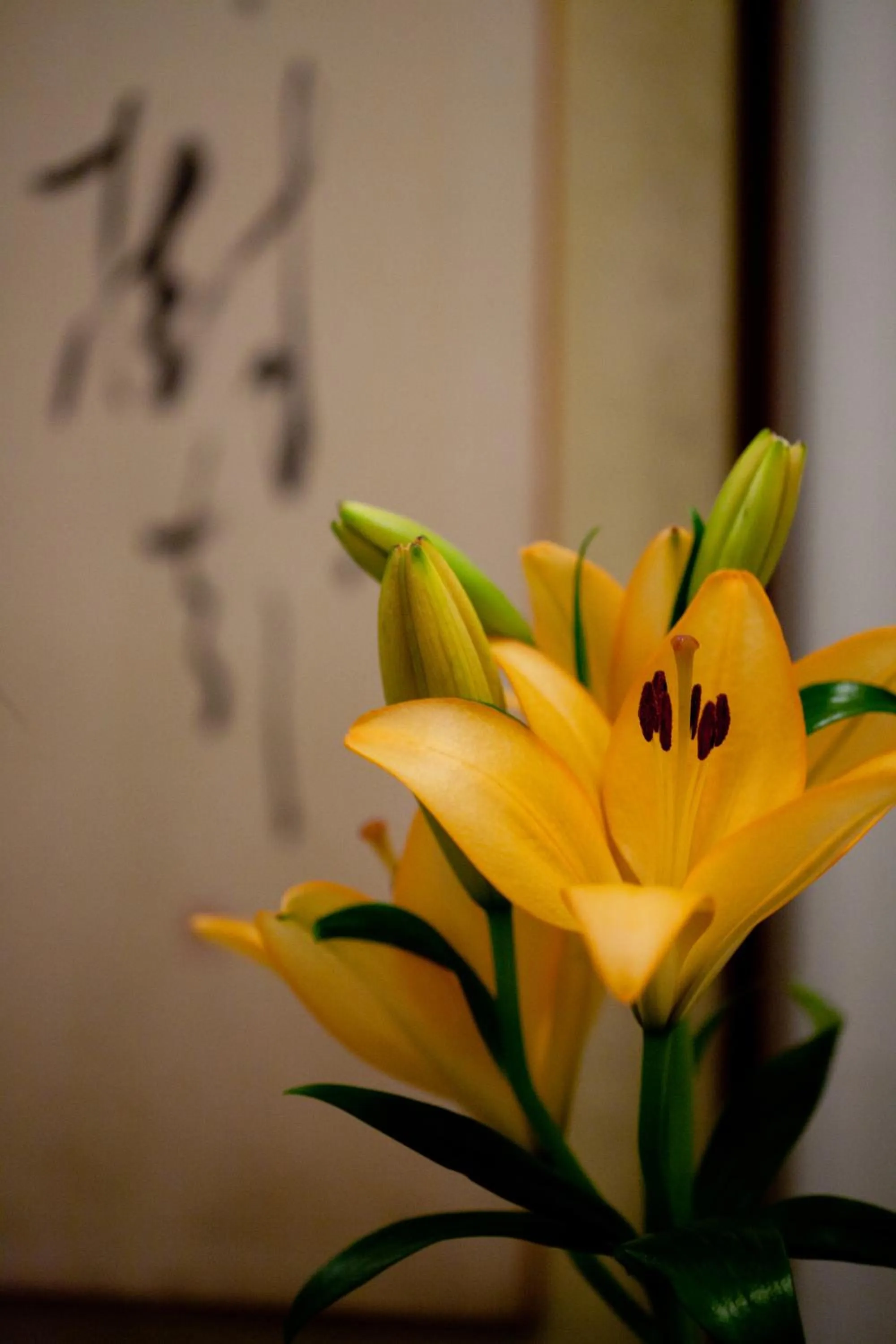 Other in Kimi Ryokan