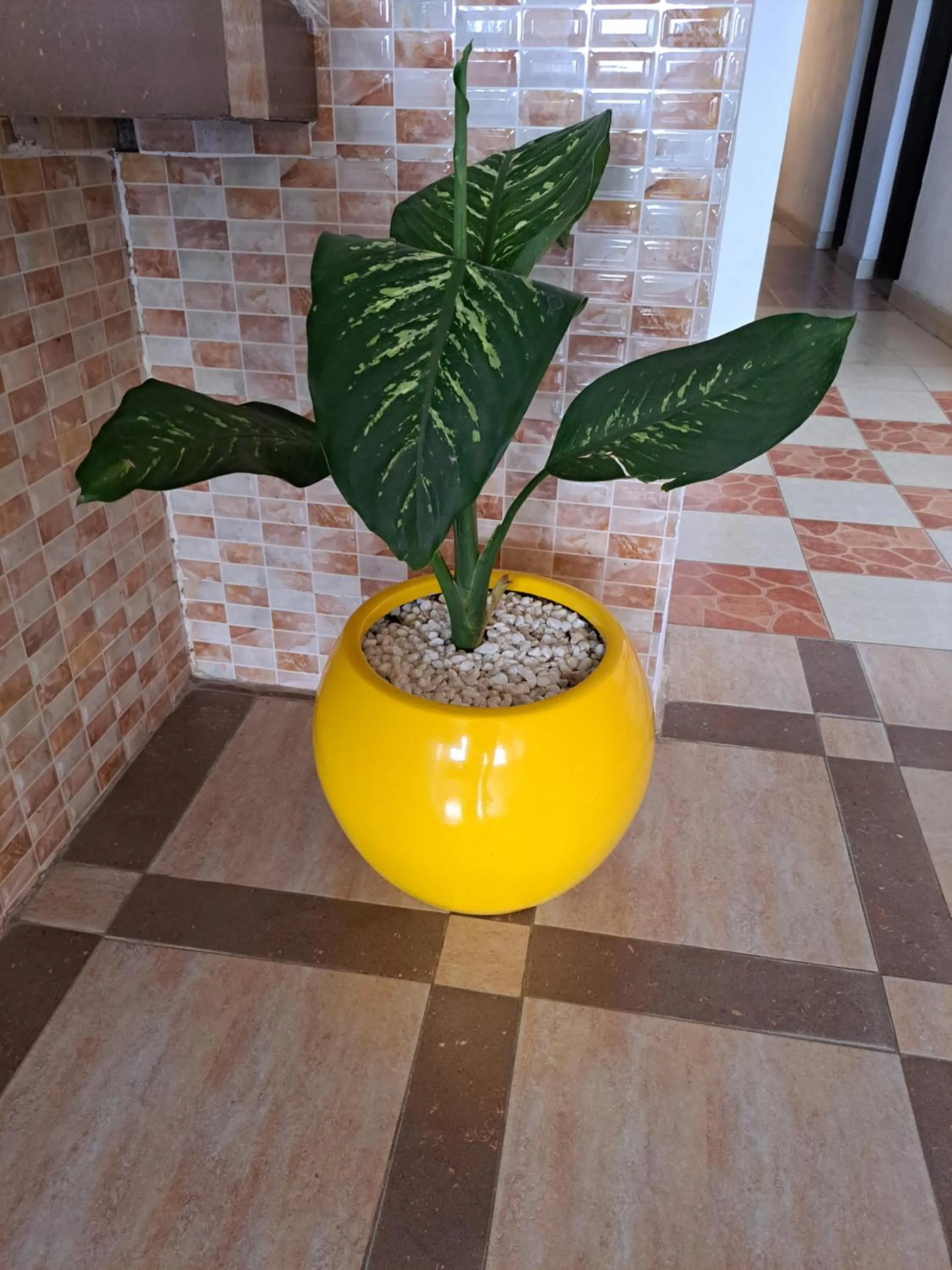 Lobby or reception in Golden Guest House- Miritini