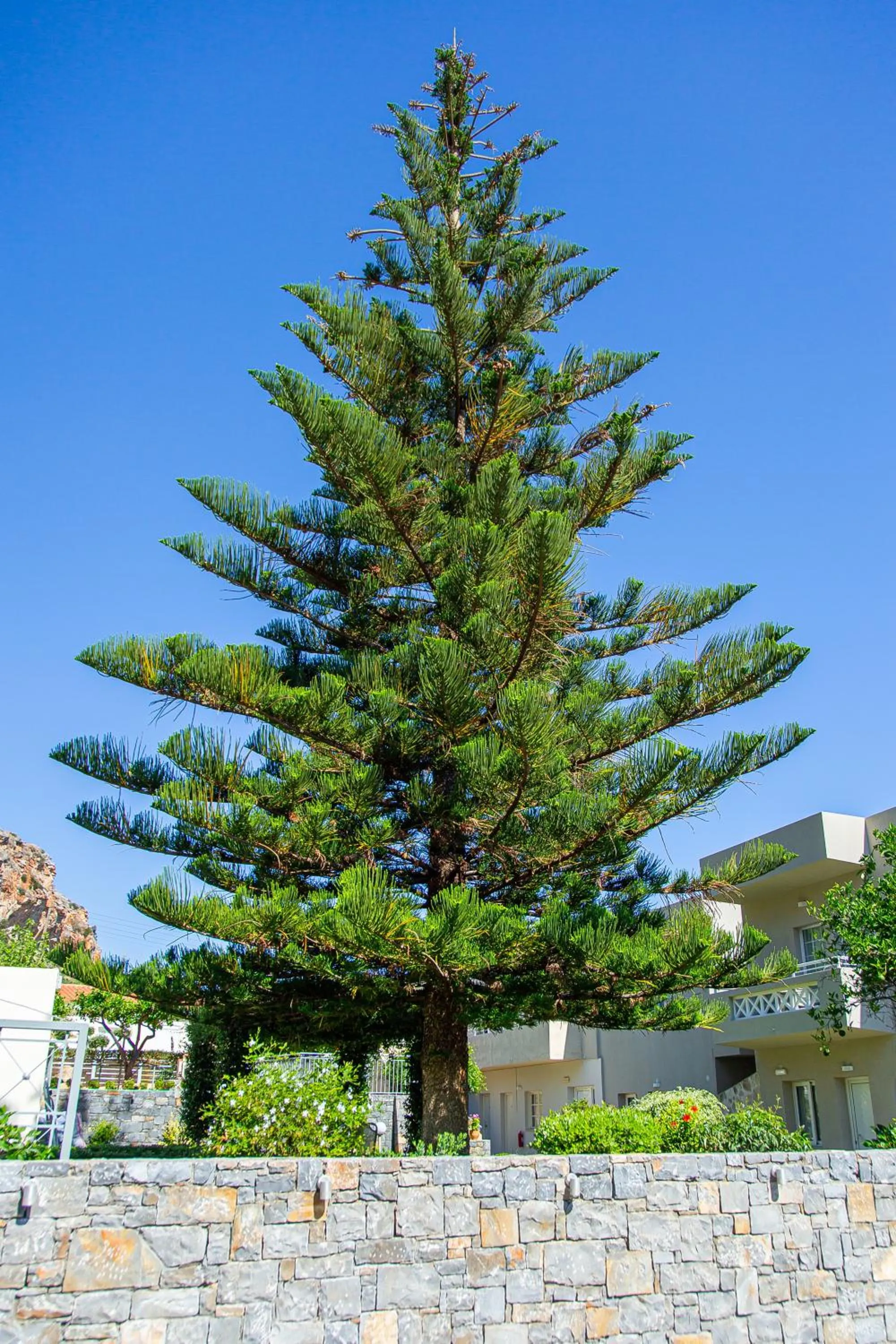 Property building in Villa Mare Monte ApartHotel