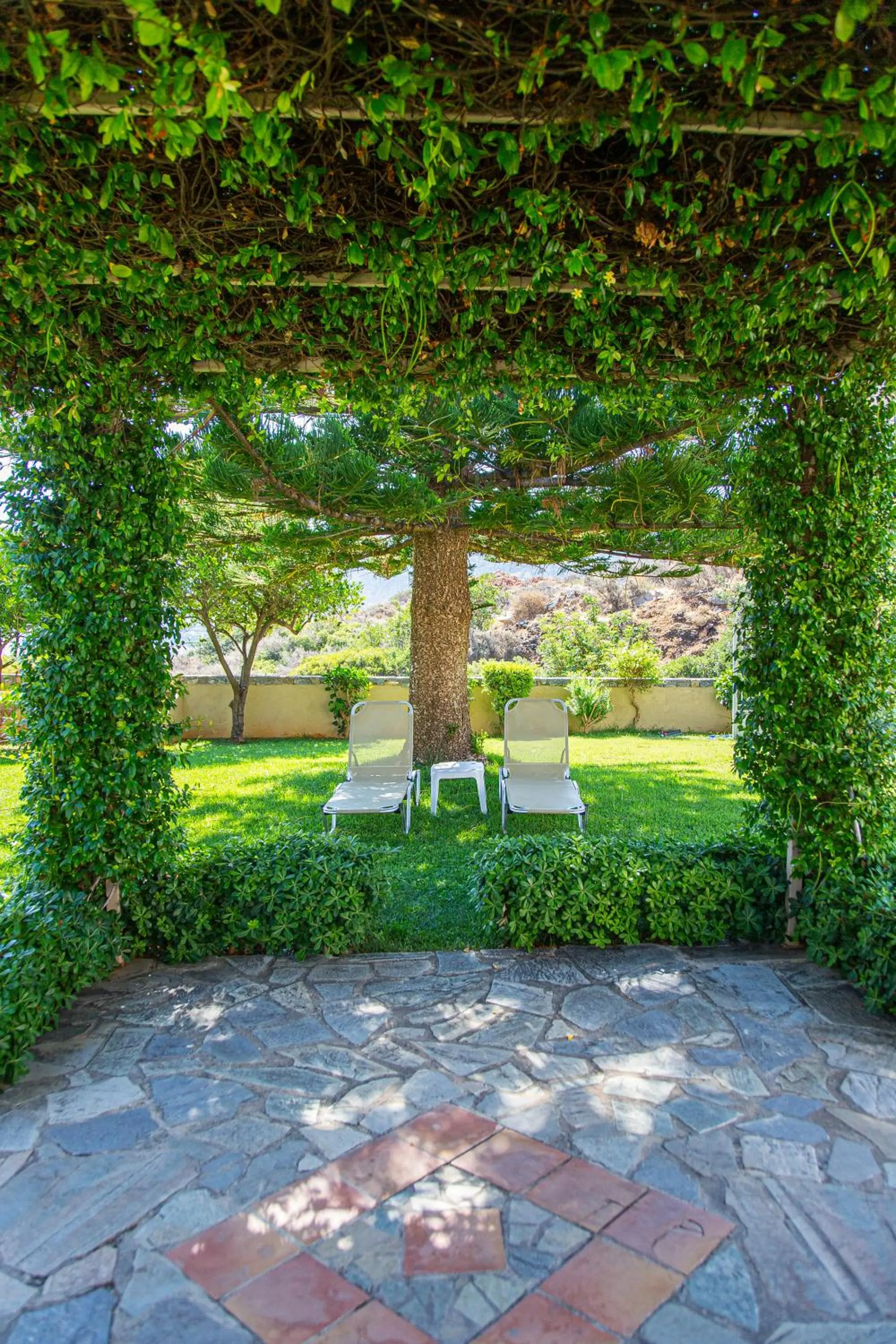 Garden in Villa Mare Monte ApartHotel