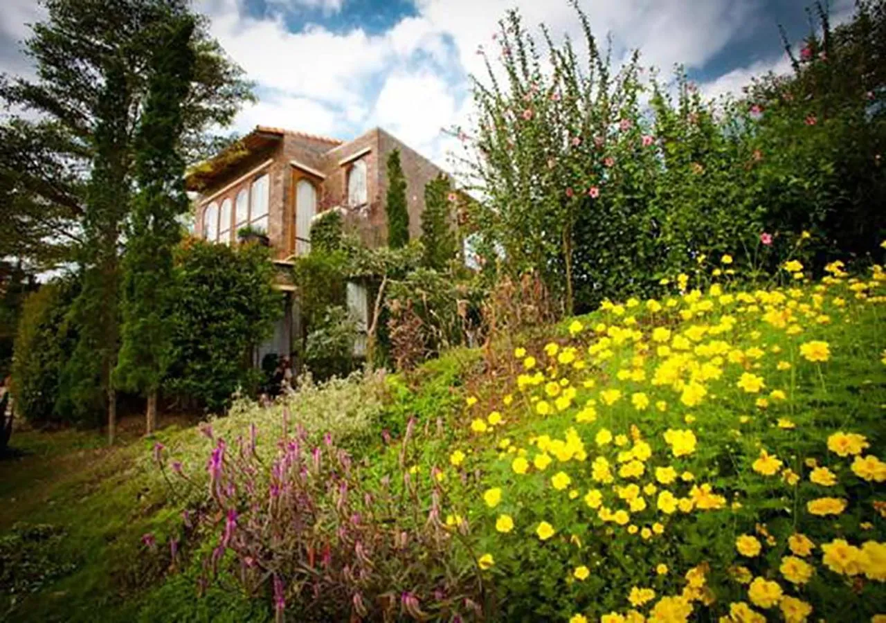 Garden view in La Toscana