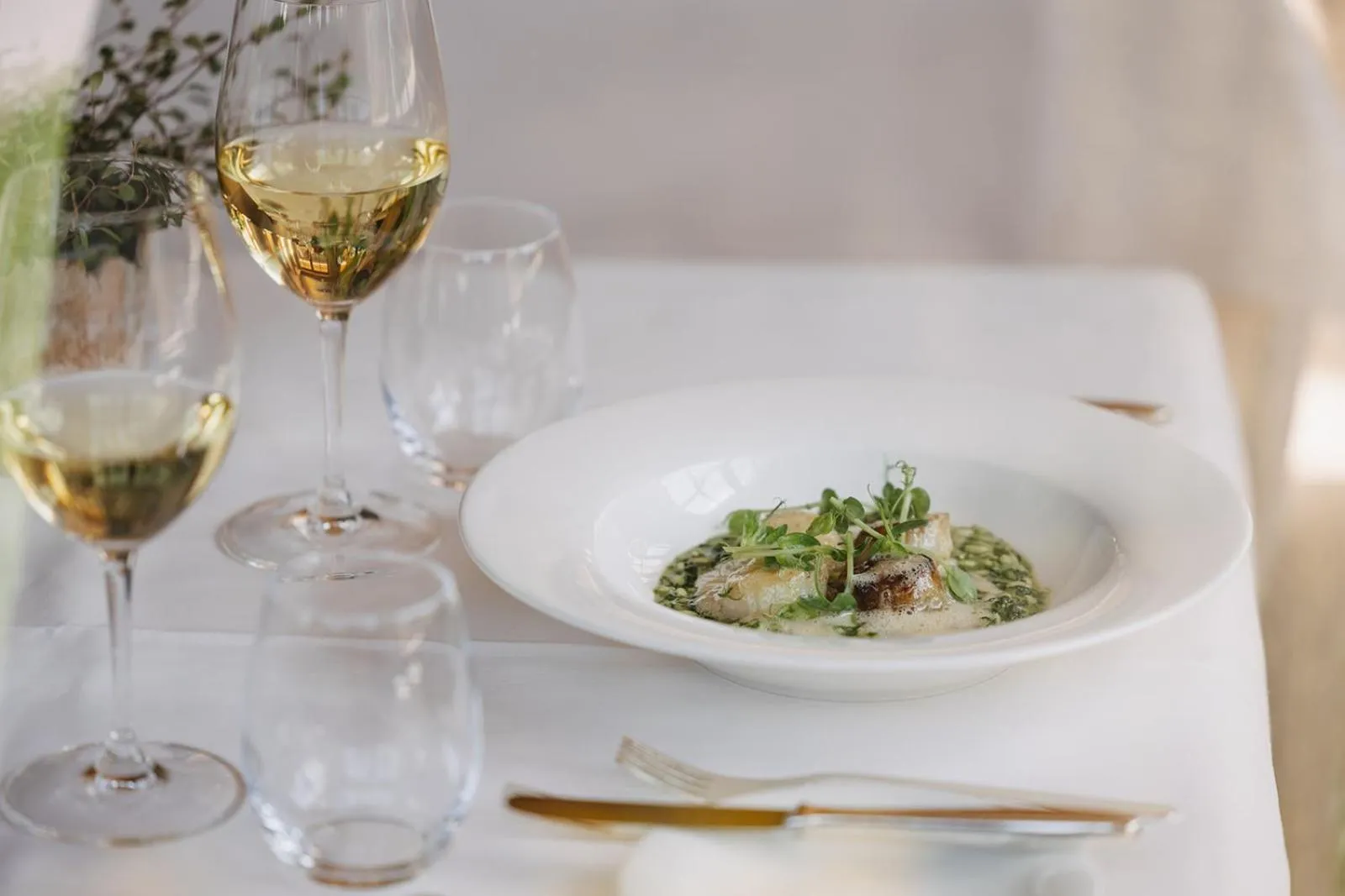 Food and drinks in Hotel Aurora