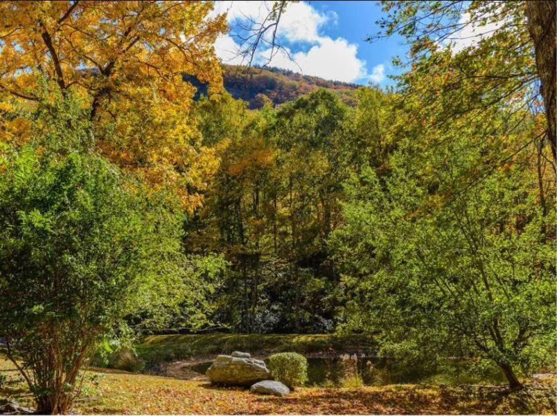 Day in Eagle's Rest Lodge