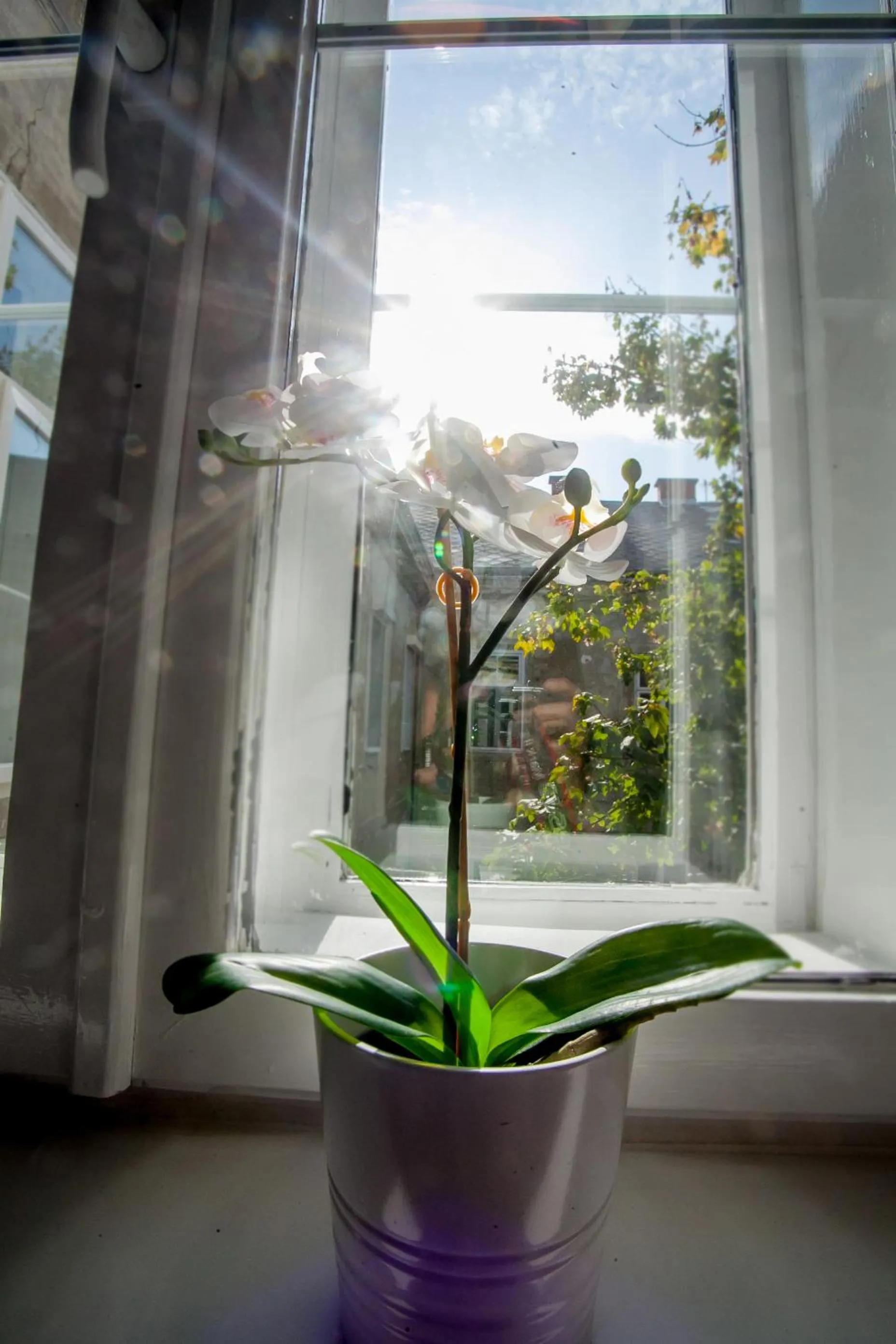 Zagreb City Vibe Apartments & Rooms