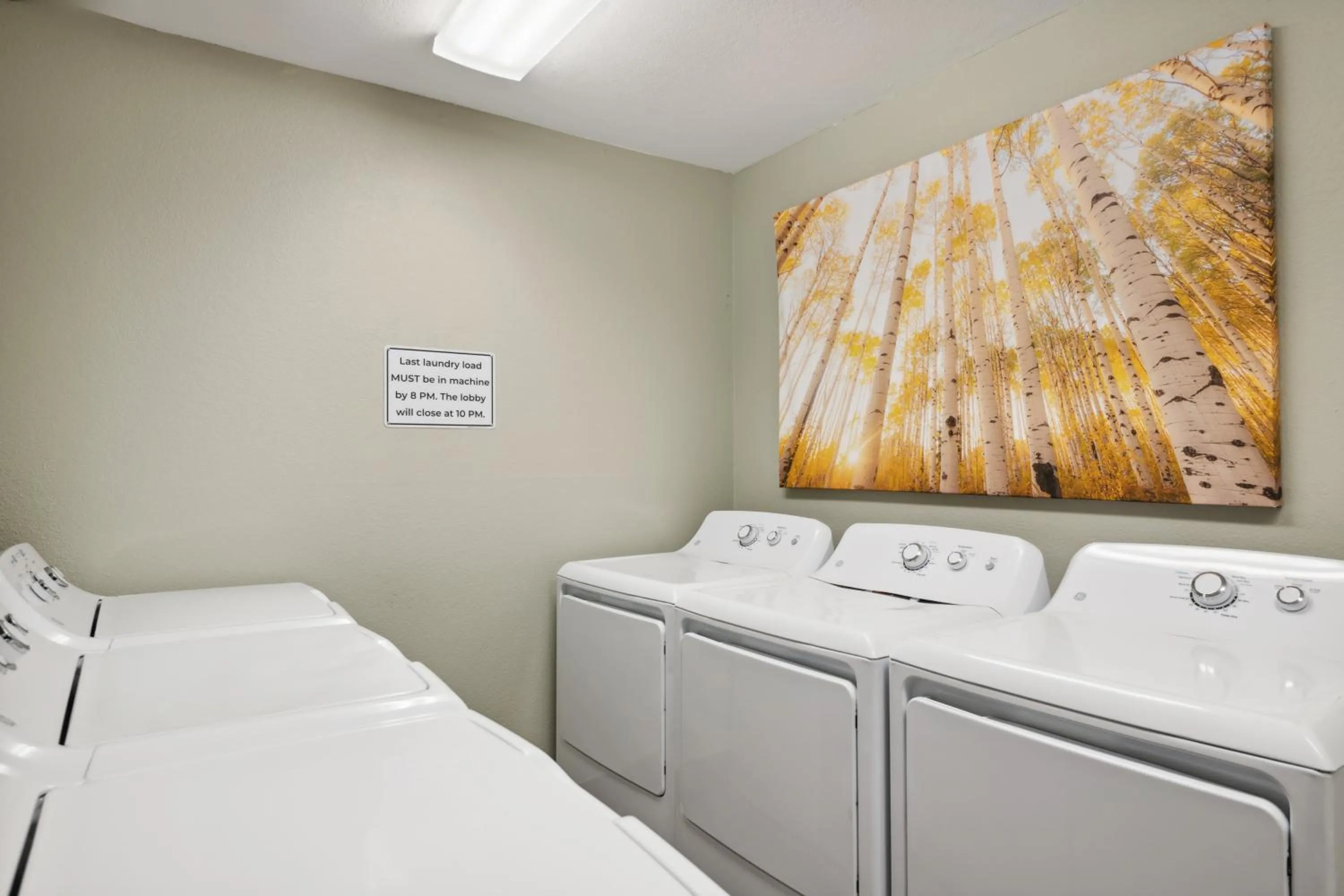 washing machine, Bed in Eagle Point Resort