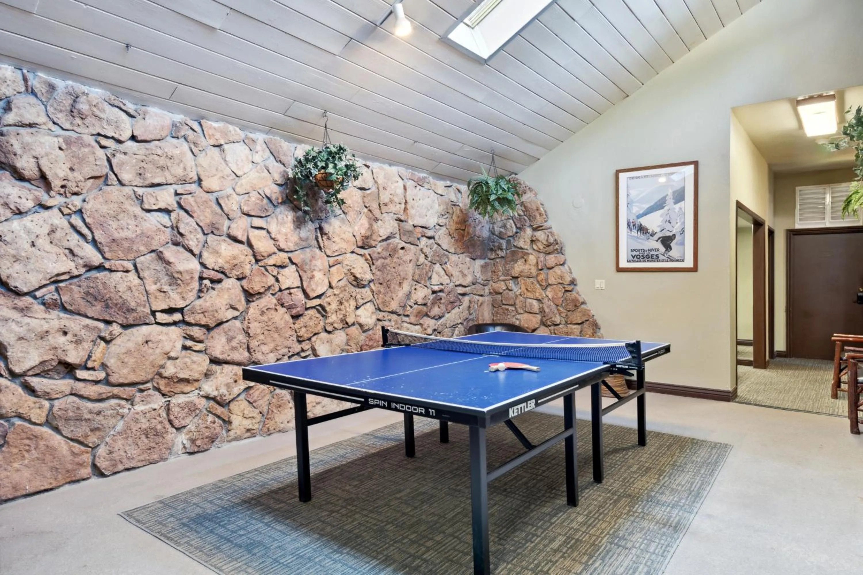 Game Room in Falcon Point