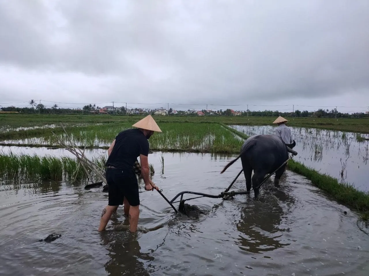 Natural landscape in Cuong Thinh Homestay