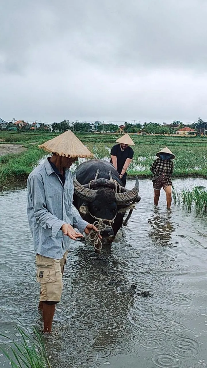 Natural landscape in Cuong Thinh Homestay