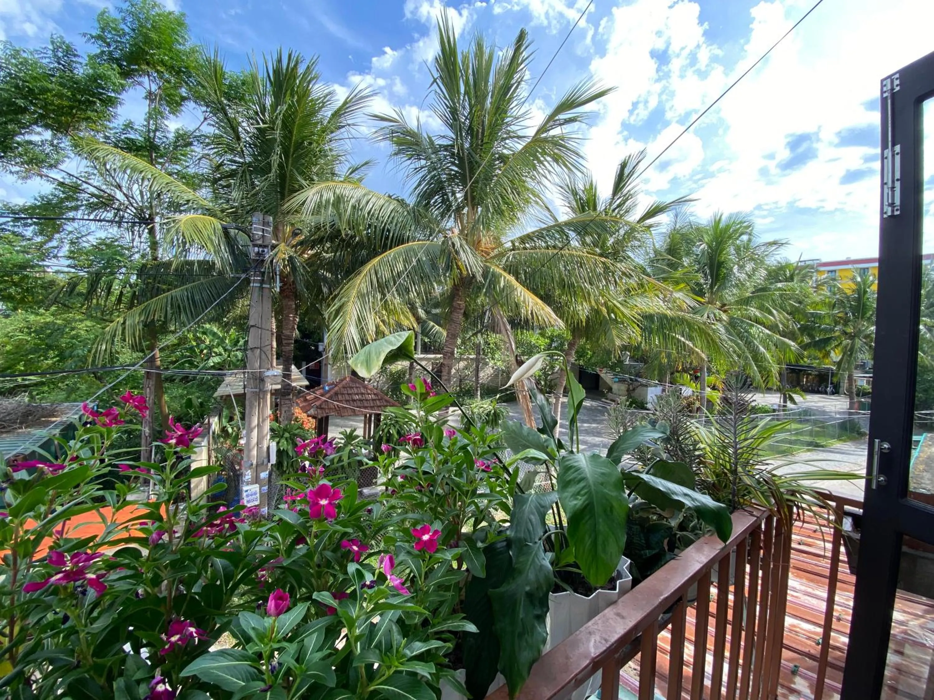 Day in Cuong Thinh Homestay