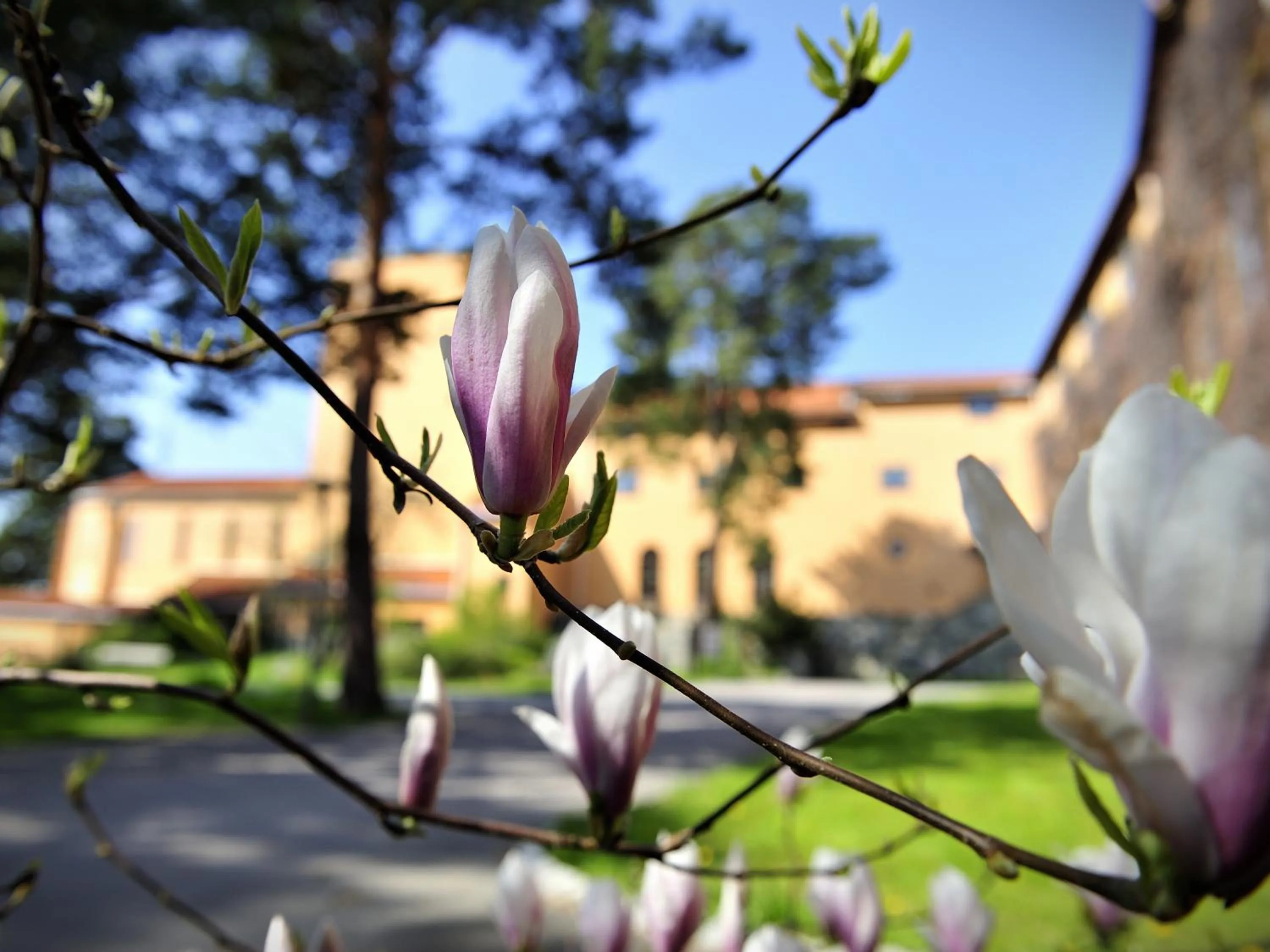 Facade/entrance in Sigtunastiftelsen Hotell & Konferens