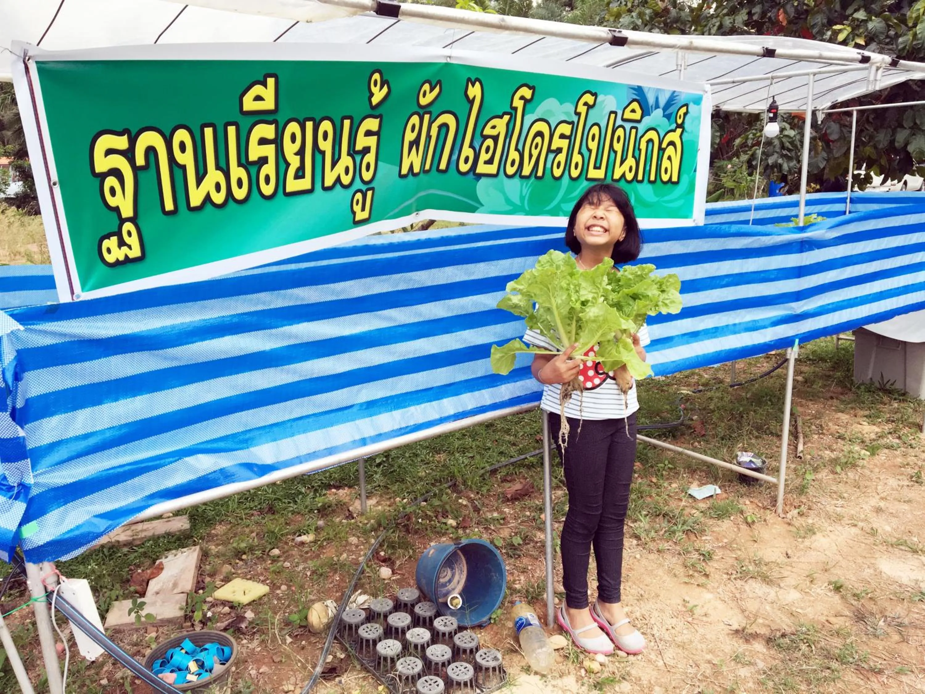 Property building in Go Green Resort